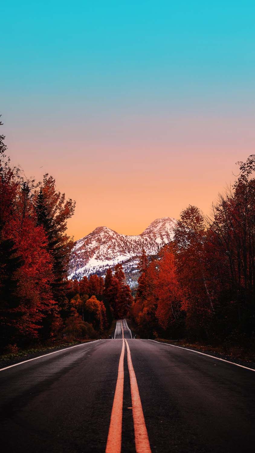 Autumn Road Canada IPhone Wallpaper HD Wallpaper : iPhone Wallpaper