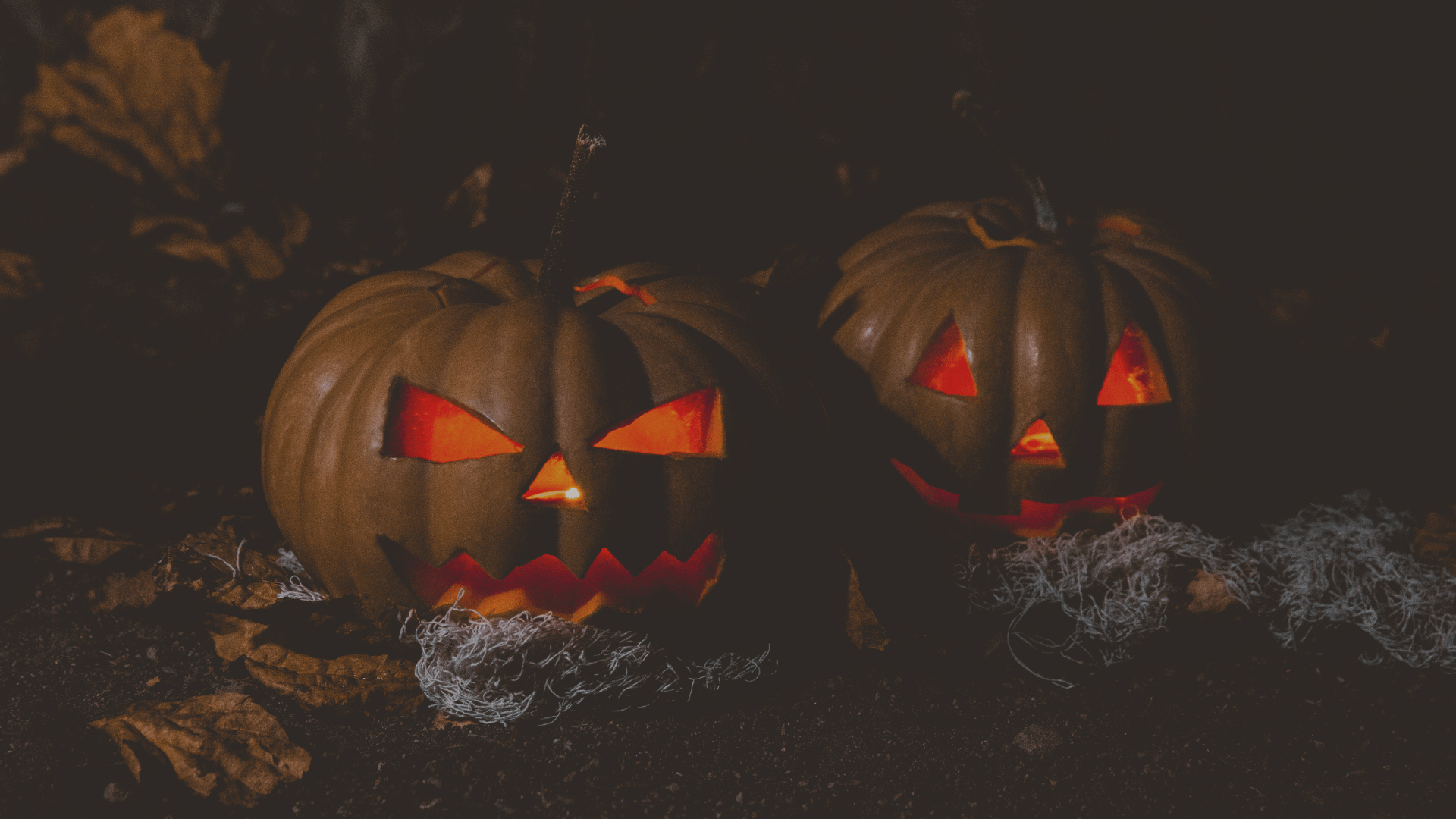 Two pumpkins with eyes lit up in the dark - Halloween desktop