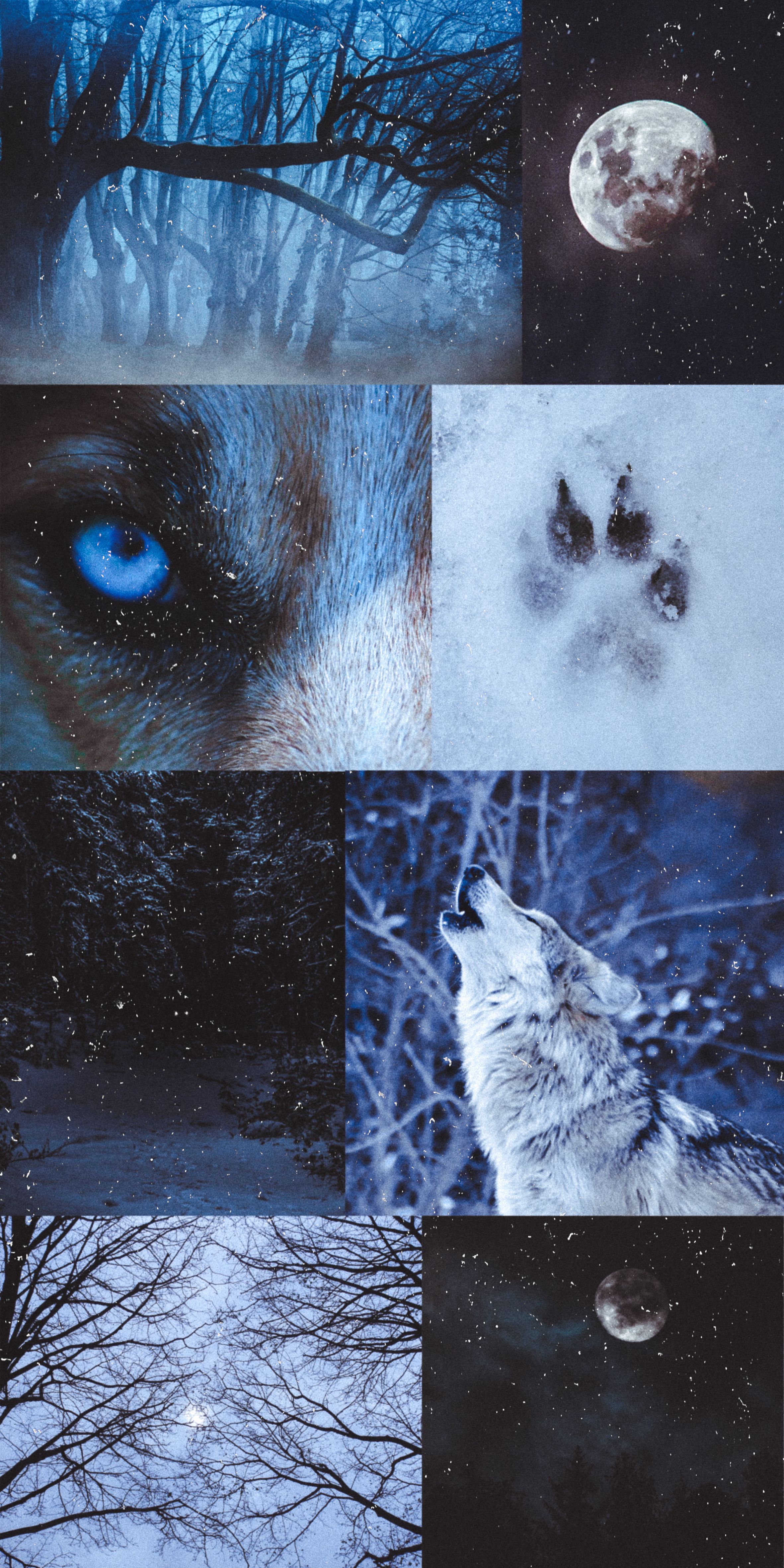 A collage of pictures with wolves in them - Wolf, magic