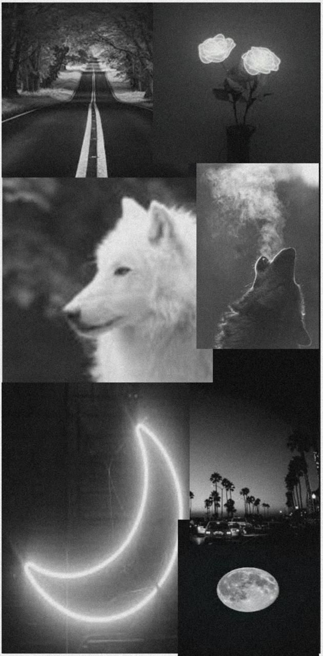 Wolf Aesthetic wallpaper