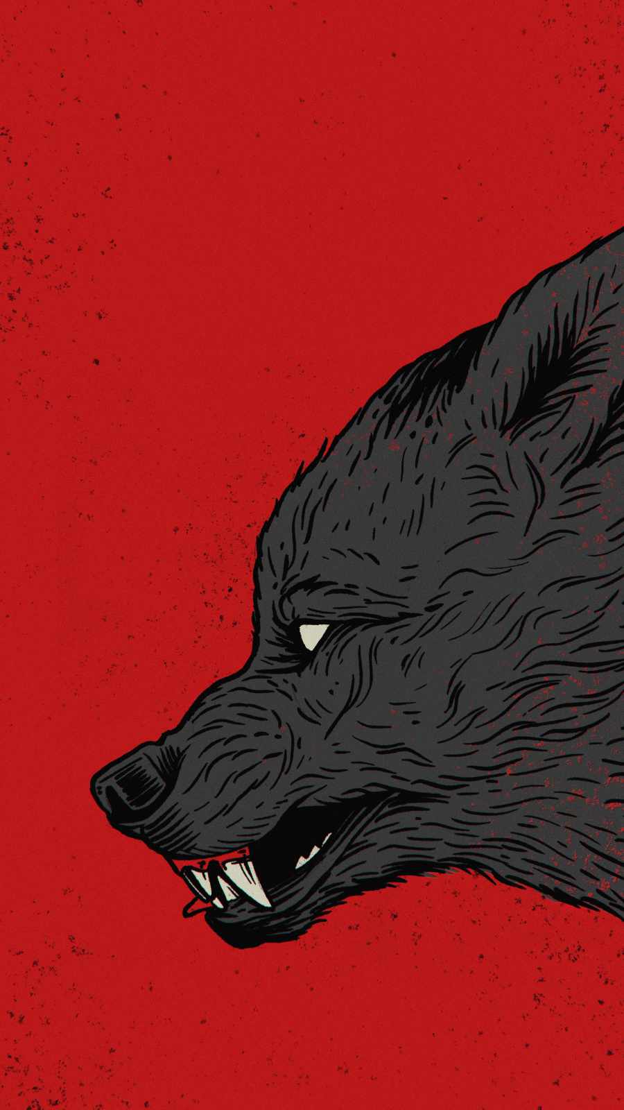 A black wolf with sharp teeth on red - Wolf