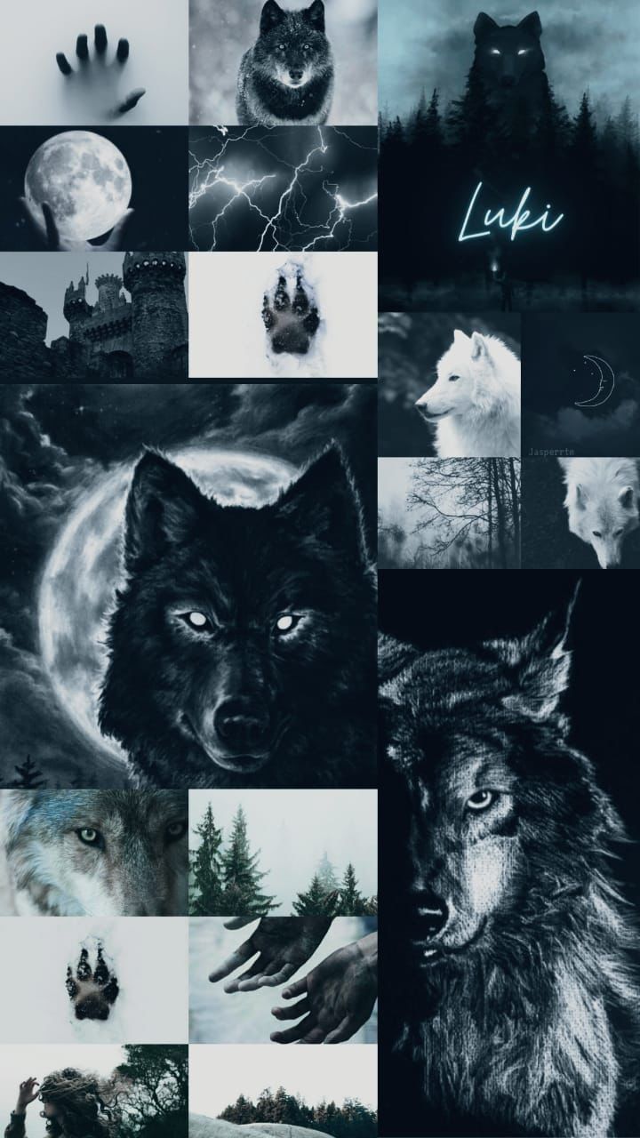 Wolf aesthetic wallpaper for phone and desktop. - Wolf