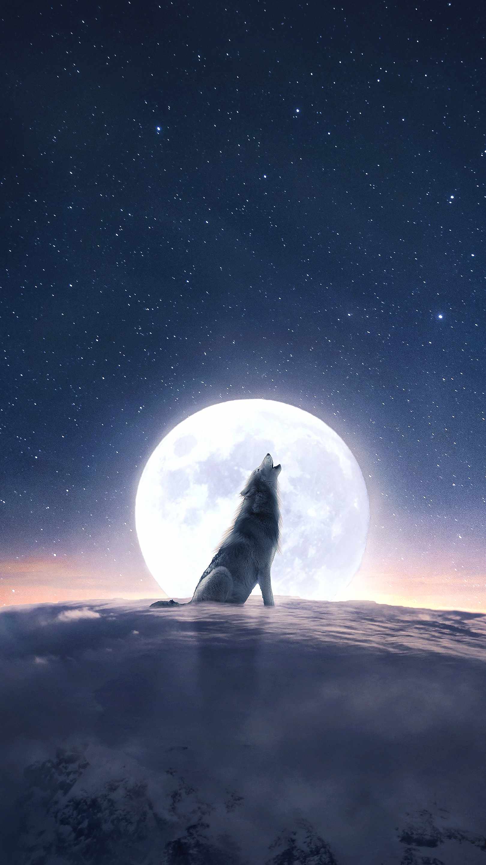 A wolf howling at the moon wallpaper - Wolf