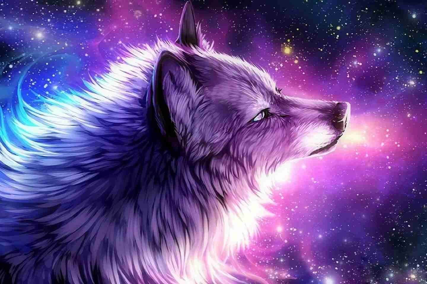 A wolf in the space - Wolf