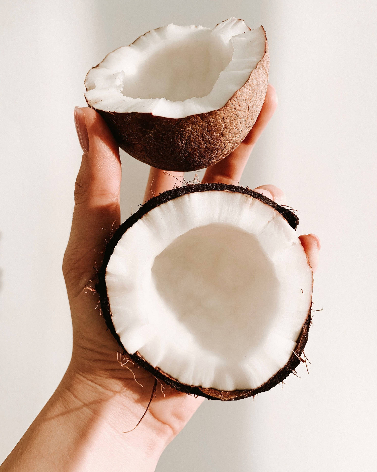 A hand holding a coconut cut in half - Coconut, food, foodie