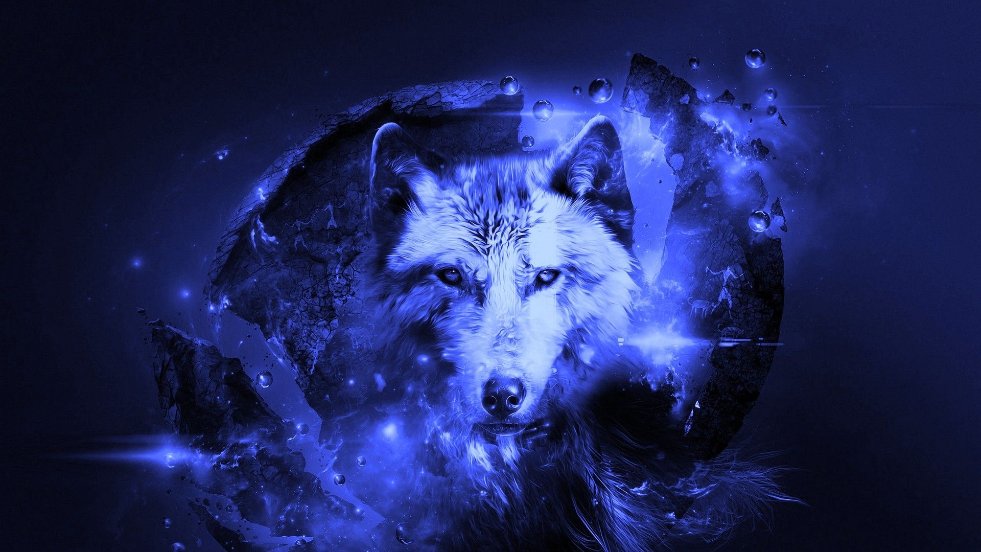 A blue wolf with stars in the background - Wolf