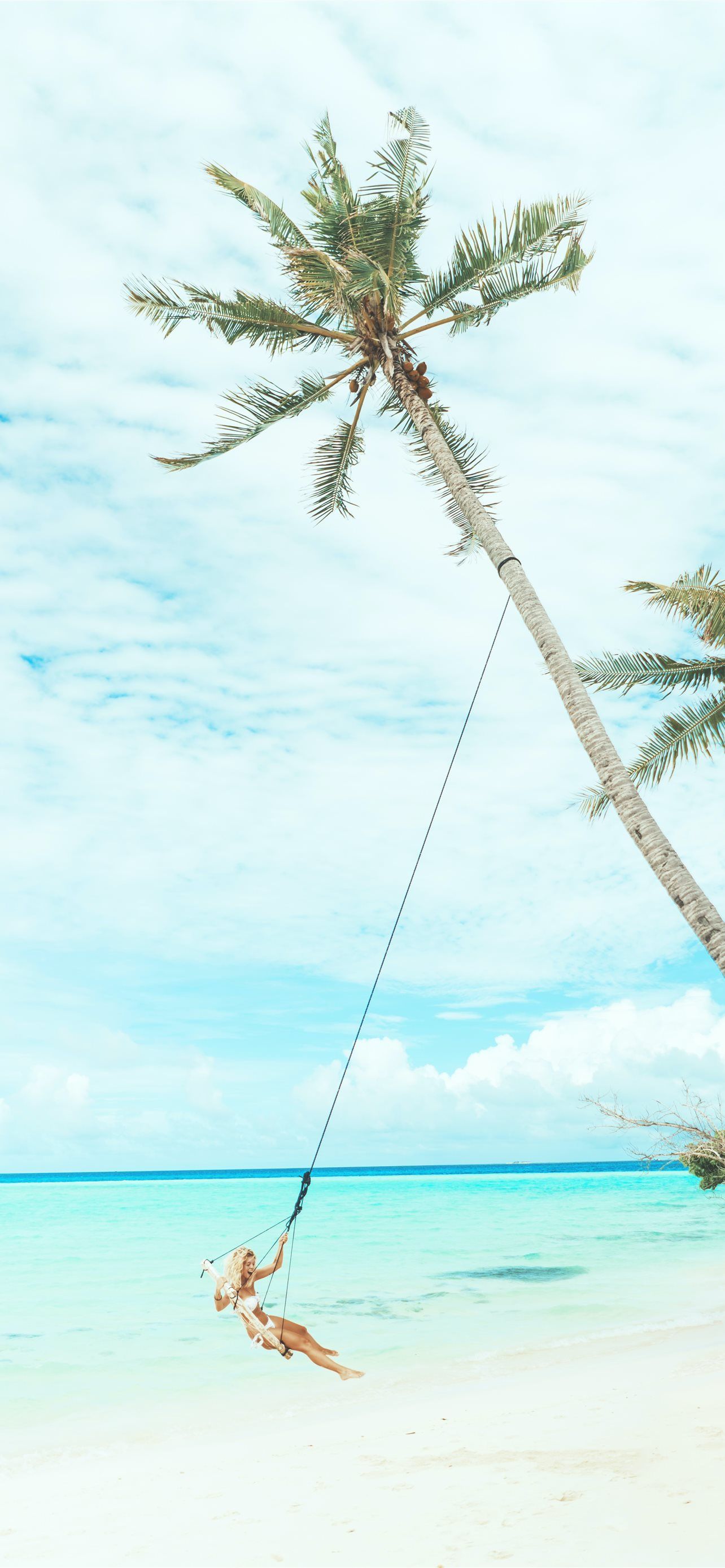 woman swing under coconut tree iPhone Wallpaper Free Download