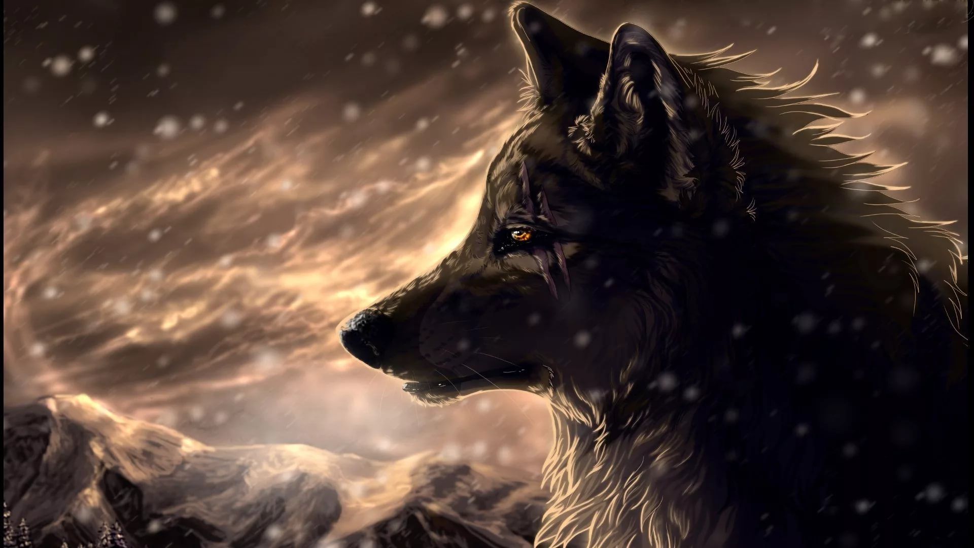 Cool Wolf Wallpaper