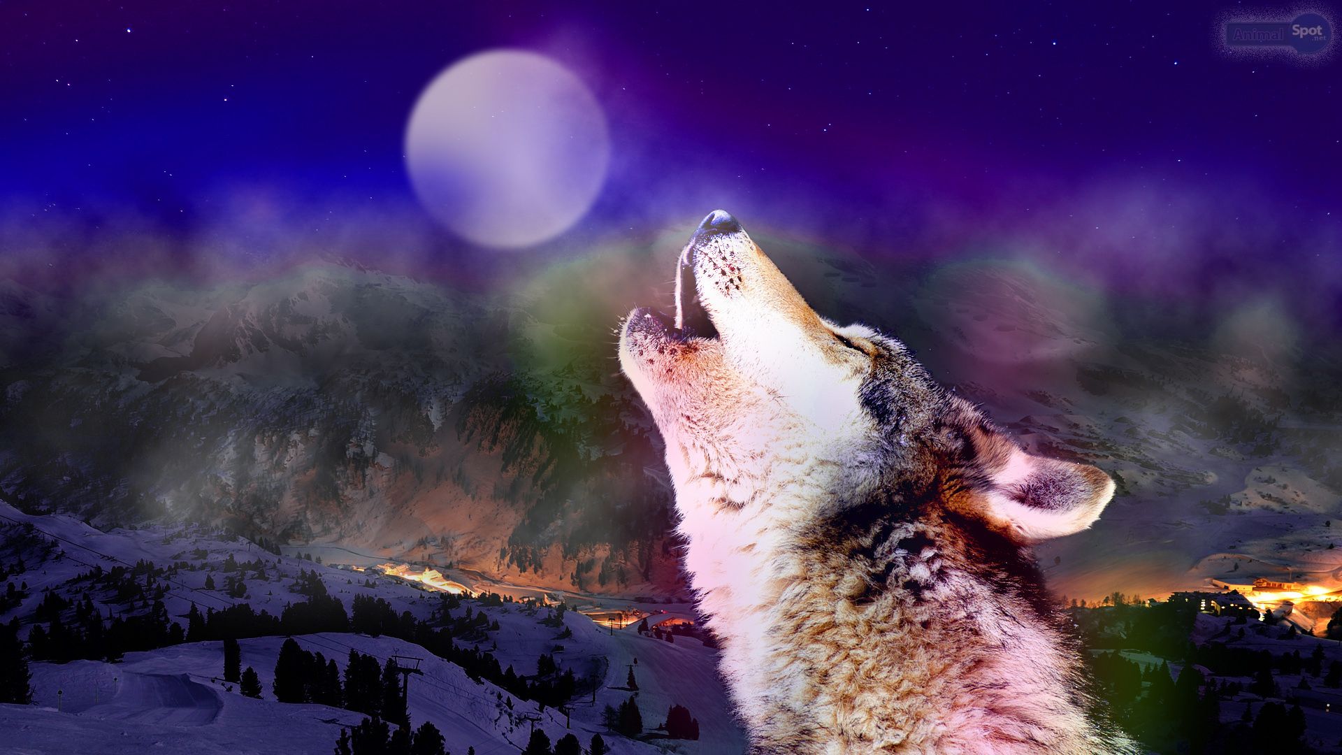 A wolf howling at the moon in a purple sky with snowy mountains in the background. - Wolf