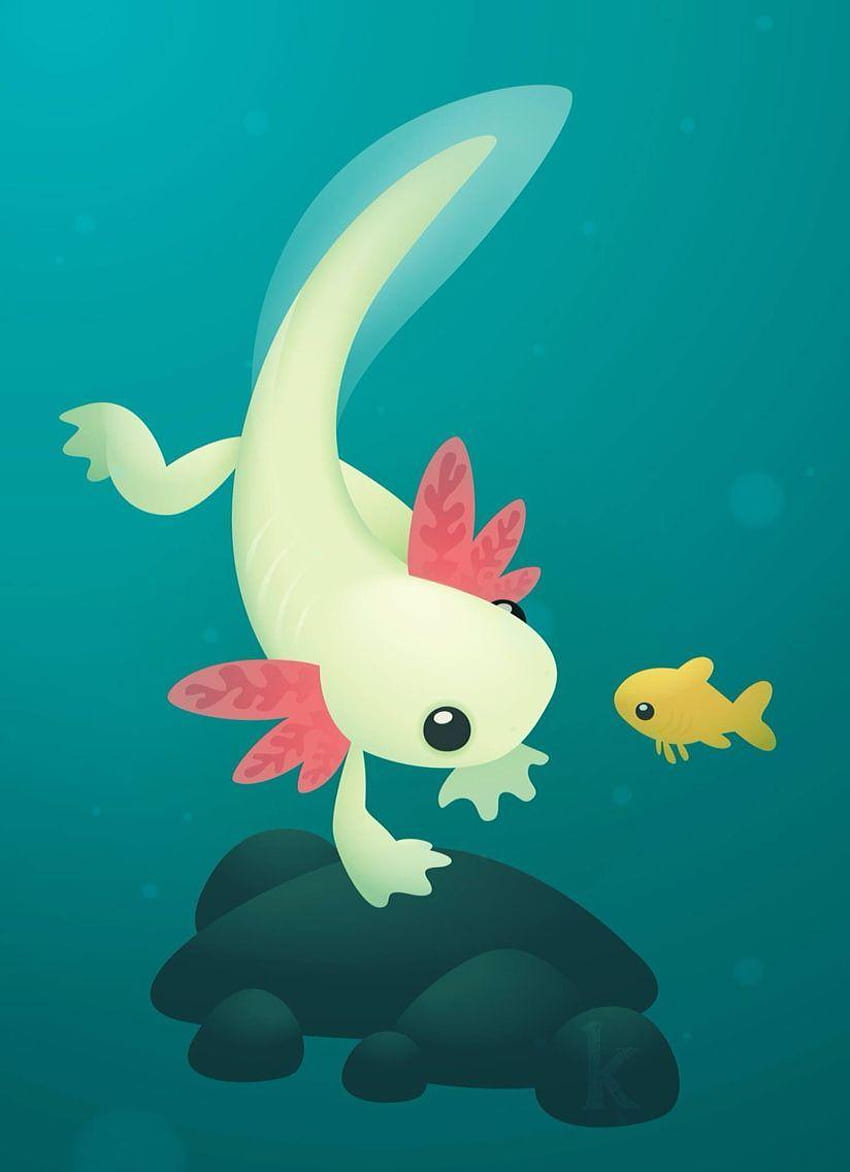 A cartoon axolotl and a cartoon fish float in a cartoon pond. - Axolotl