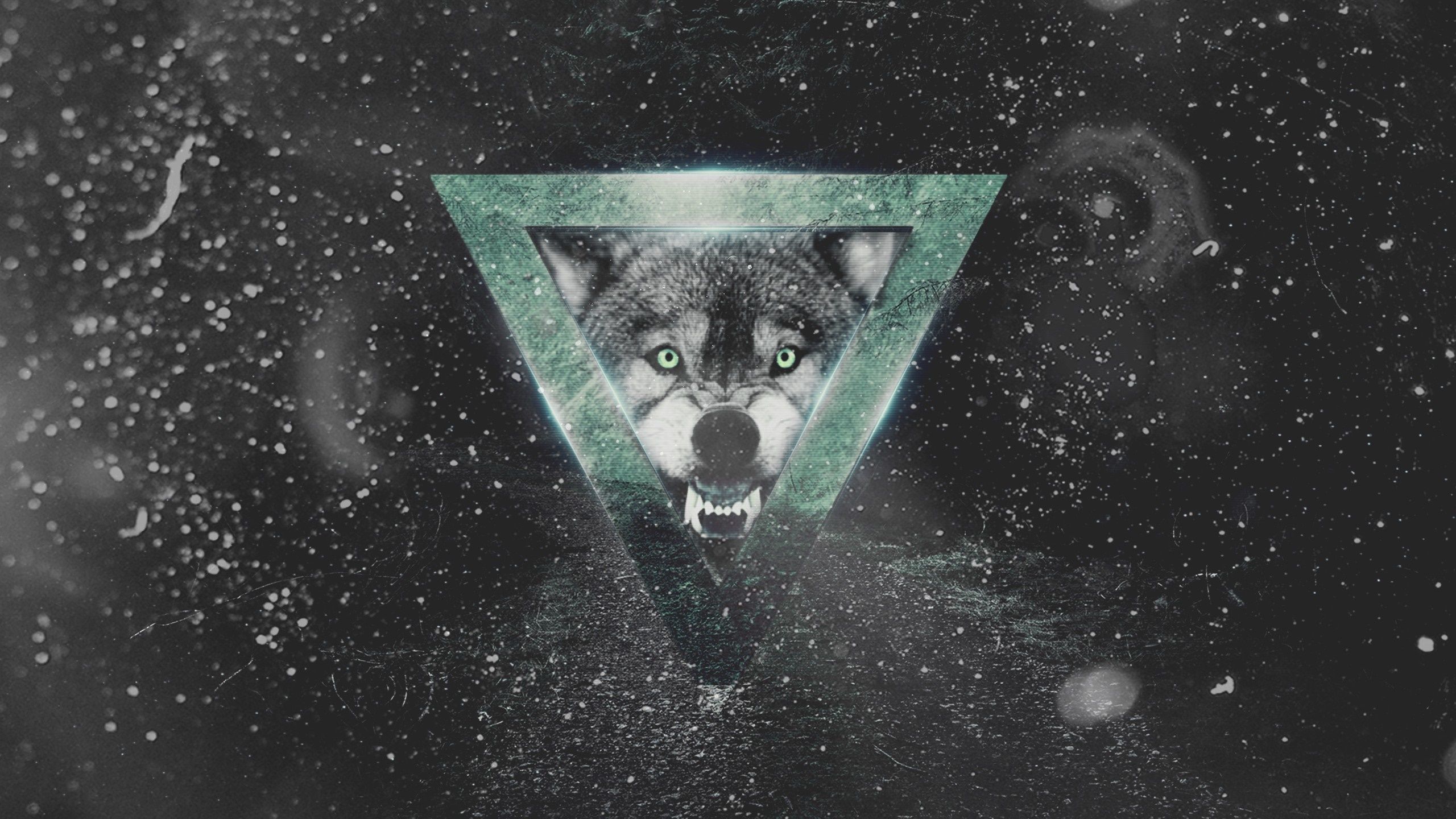 monochrome, wolf, darkness, computer Gallery HD Wallpaper