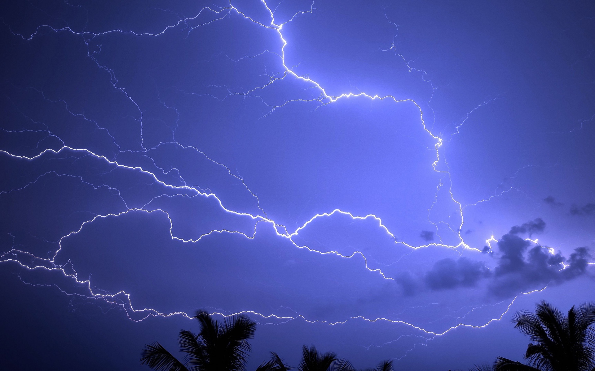 Bright lightning cuts during a tropical storm Desktop wallpaper 1920x1200