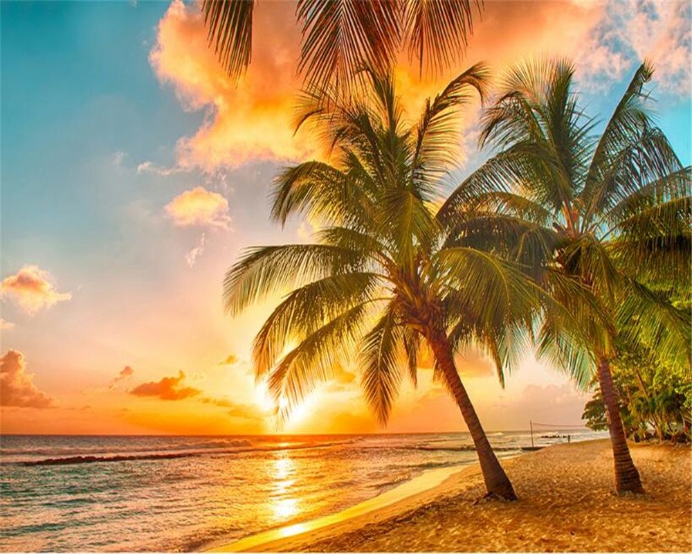 Palm trees on a beach with the sun setting - Coconut