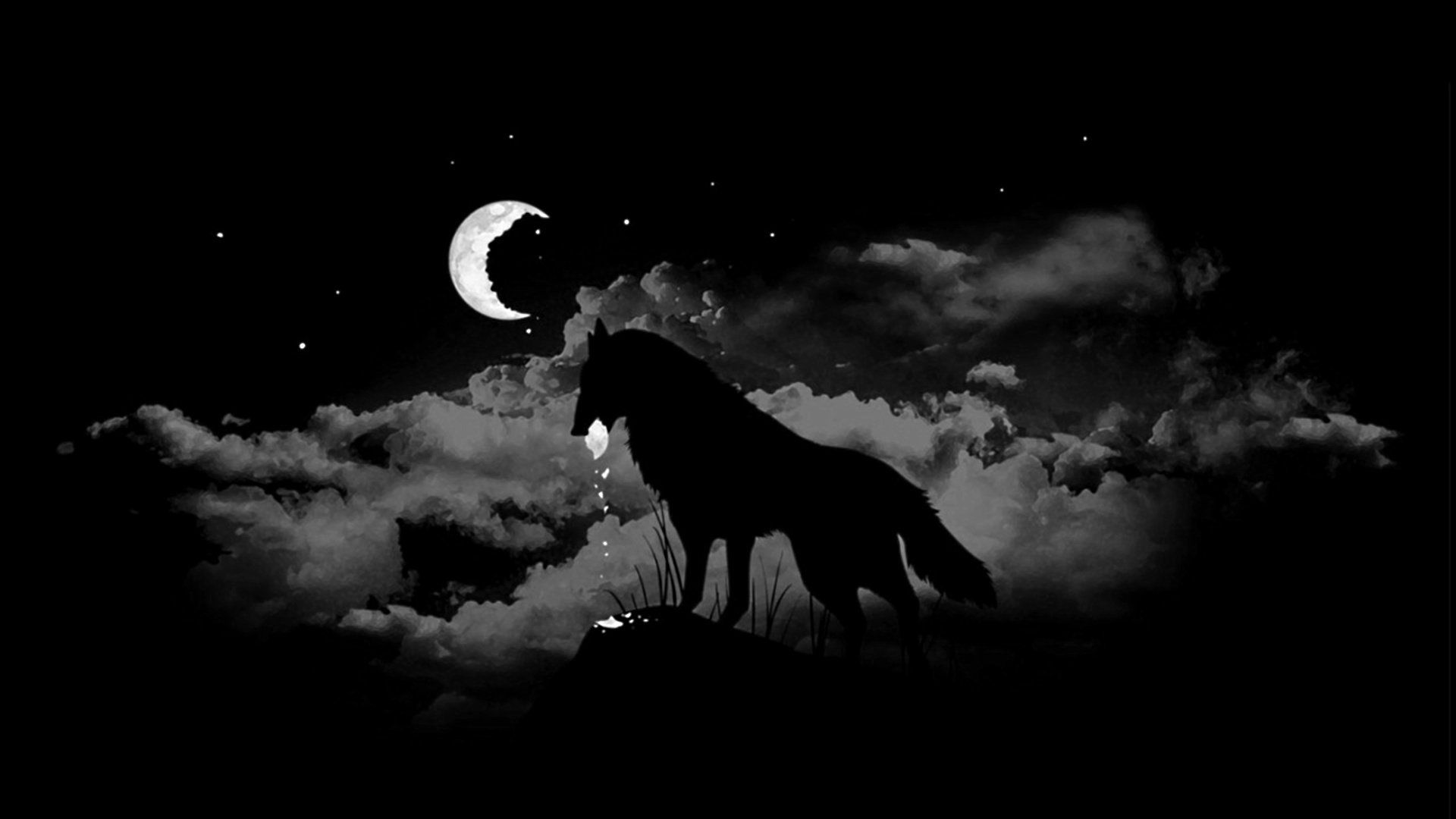 A wolf howling at the moon in the night sky - Wolf