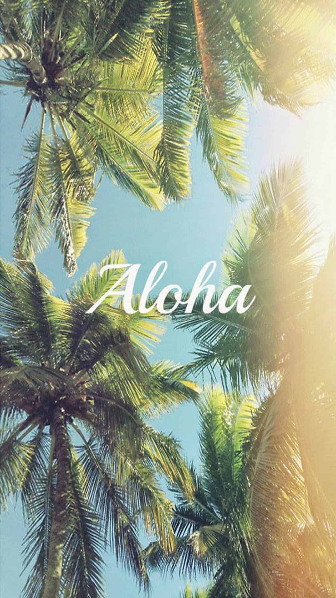 The cover of an album with palm trees and a sun - Coconut, Hawaii