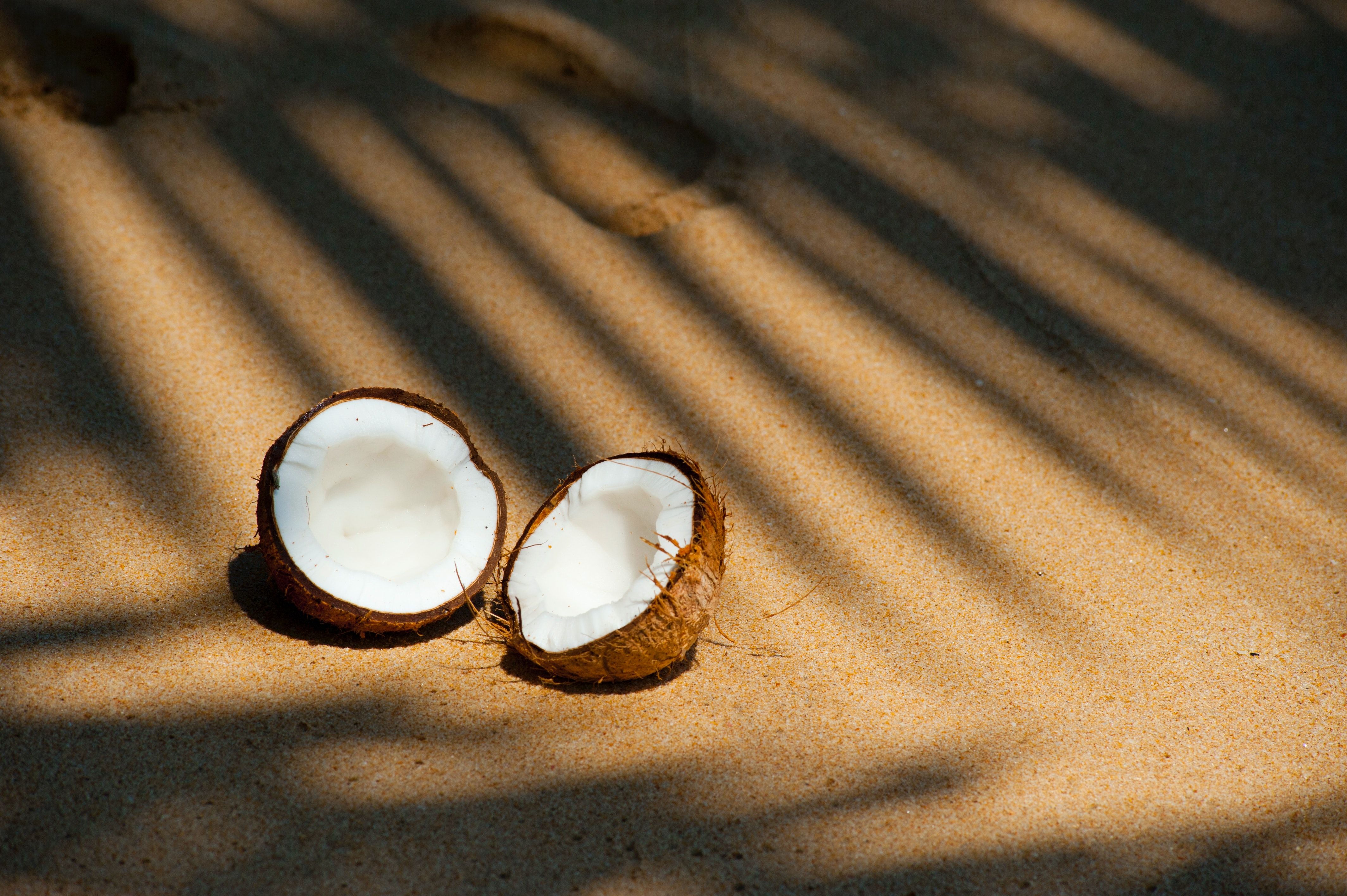 Coconut Milk Photo, Download Free Coconut Milk & HD Image
