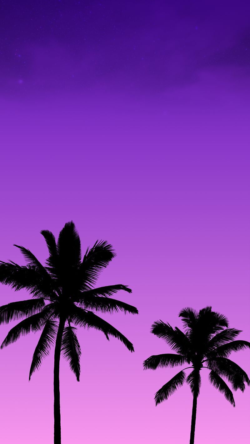 A purple sky with palm trees in it - Coconut