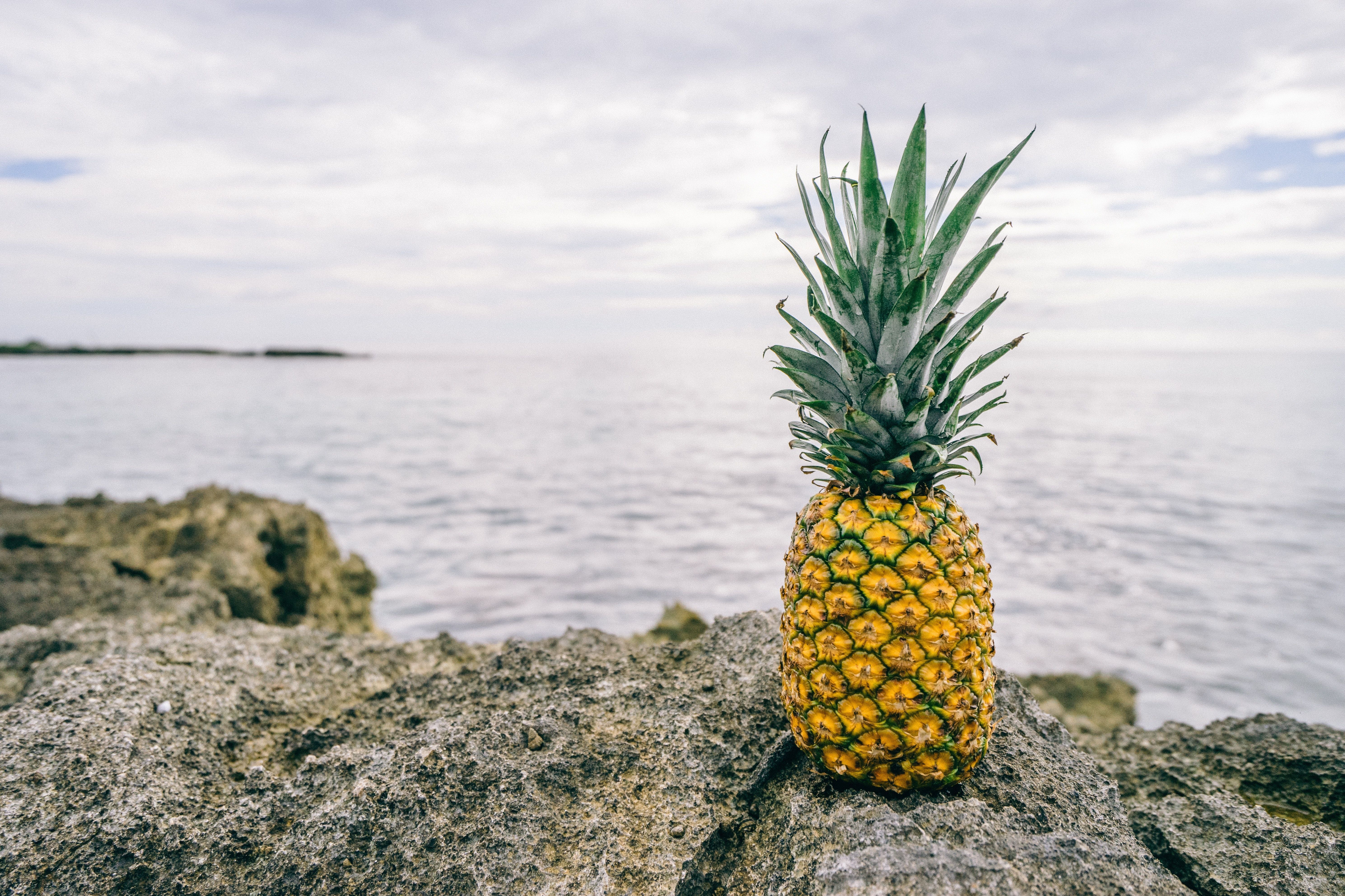 A pineapple sitting on top of some rocks - Pineapple