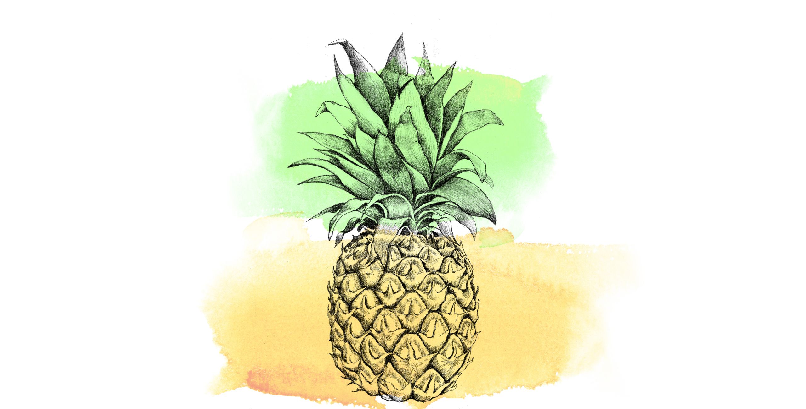 A pineapple is drawn on watercolor paper - Pineapple