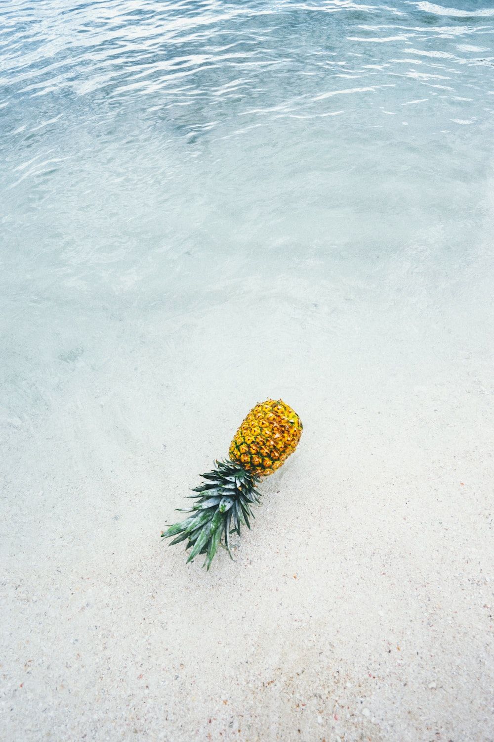 A pineapple sitting on the beach in water - Pineapple