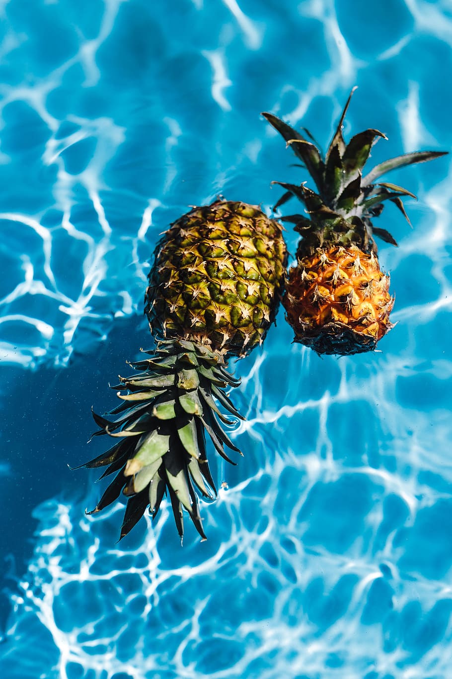 HD wallpaper: Pineapple in a swimming pool, day, summer, water, copyspace, fruits