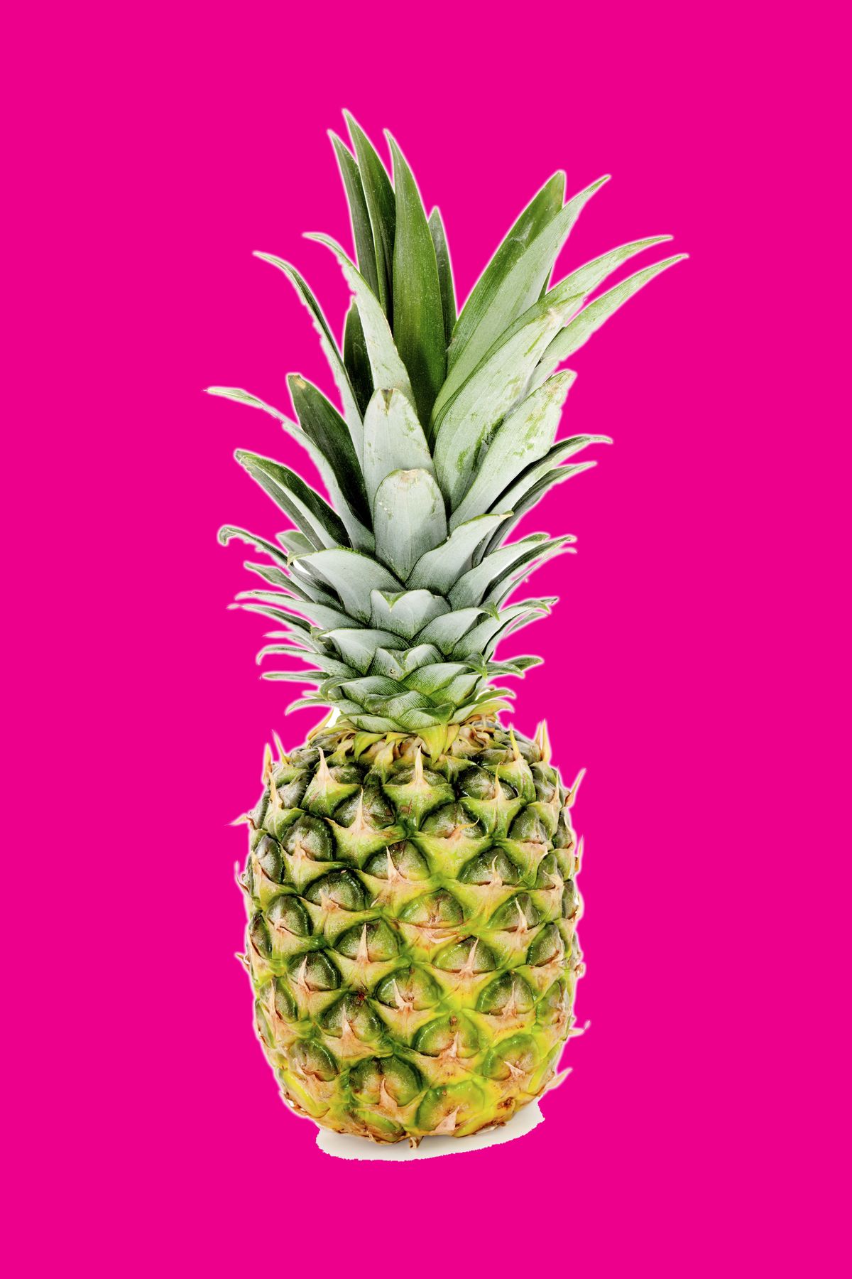 A pineapple on a pink background - Pineapple