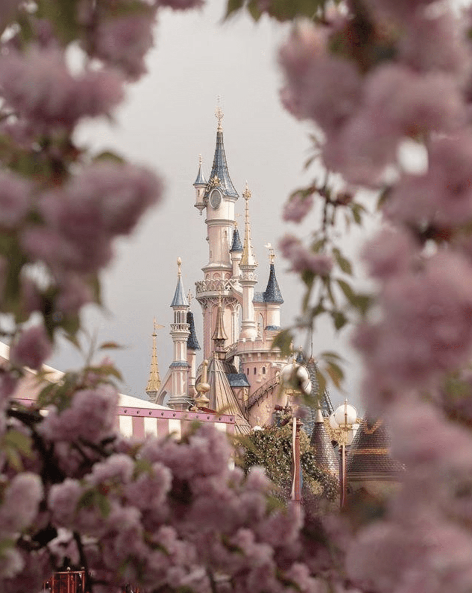 A castle is seen through some flowers - Disneyland