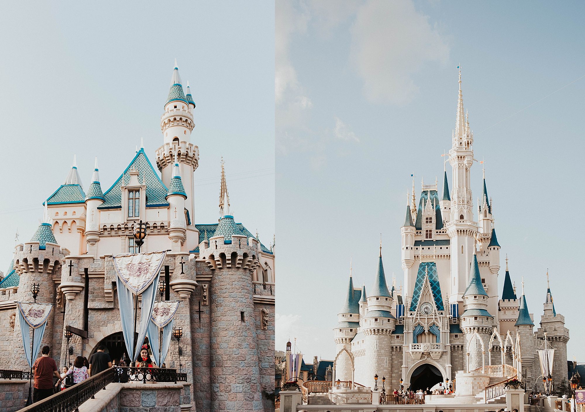 Disney World vs. Disneyland