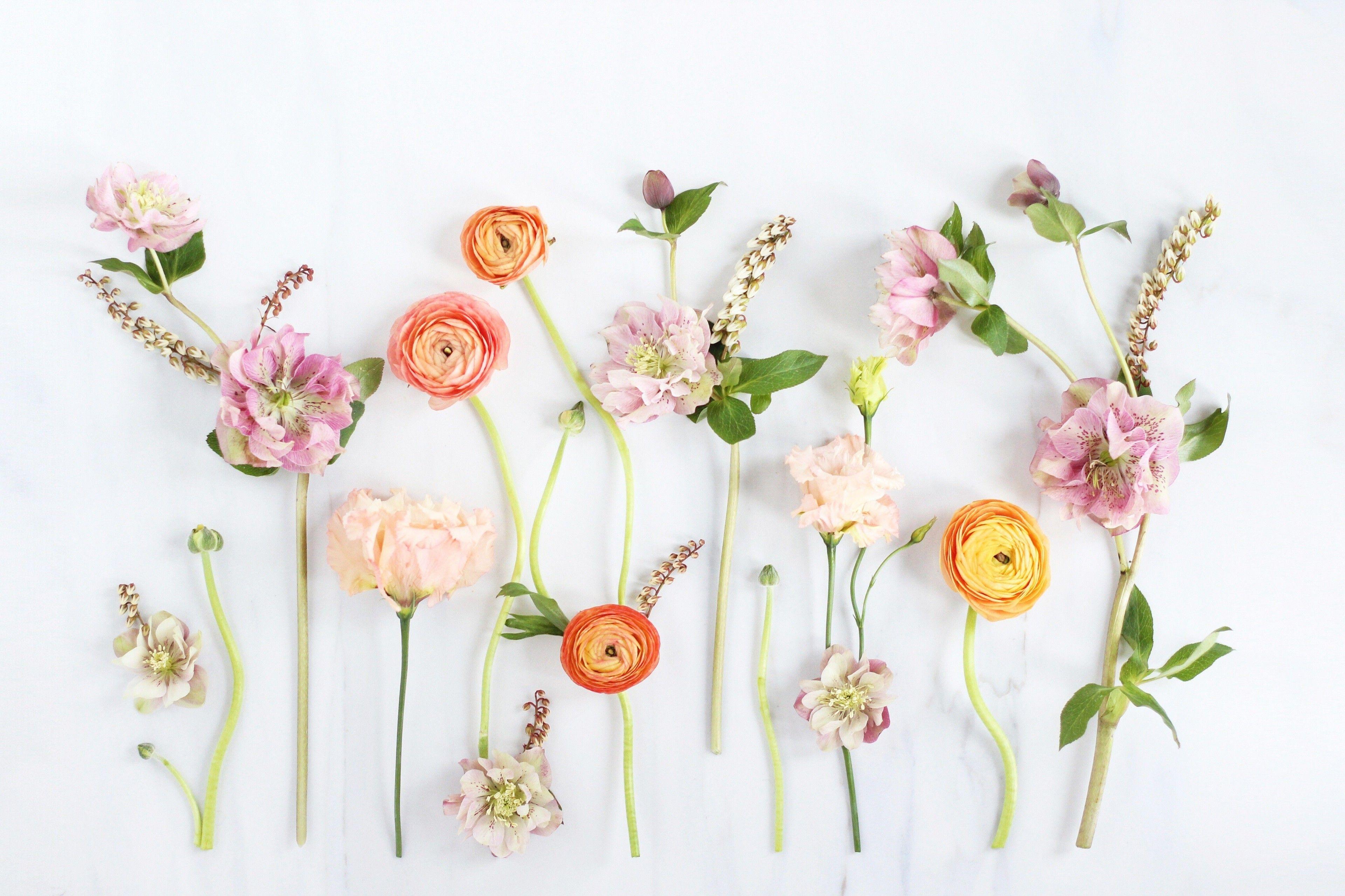 A beautiful arrangement of pink and orange flowers on a white background - Spring