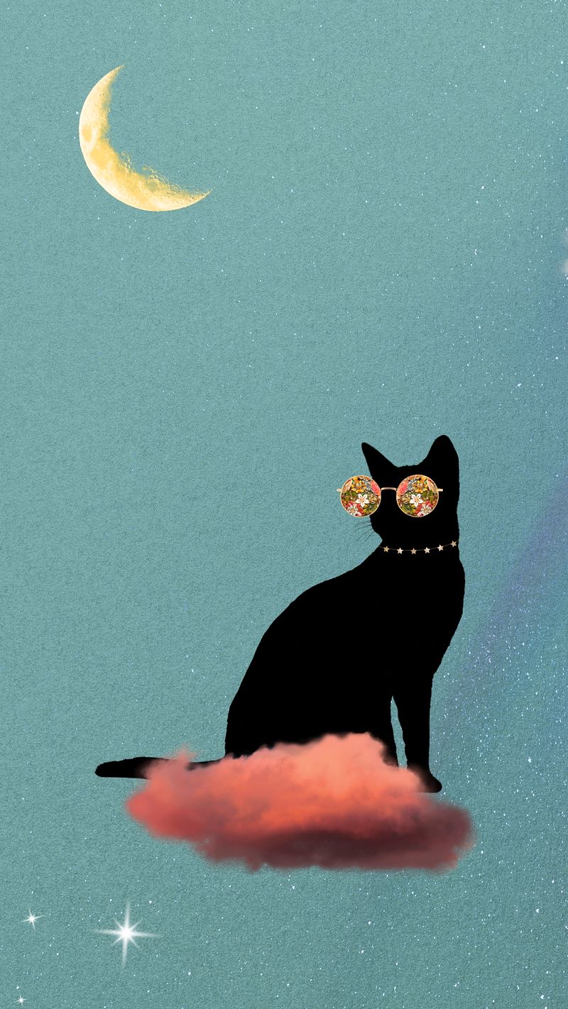 A black cat wearing sunglasses sitting on a pink cloud - Cat
