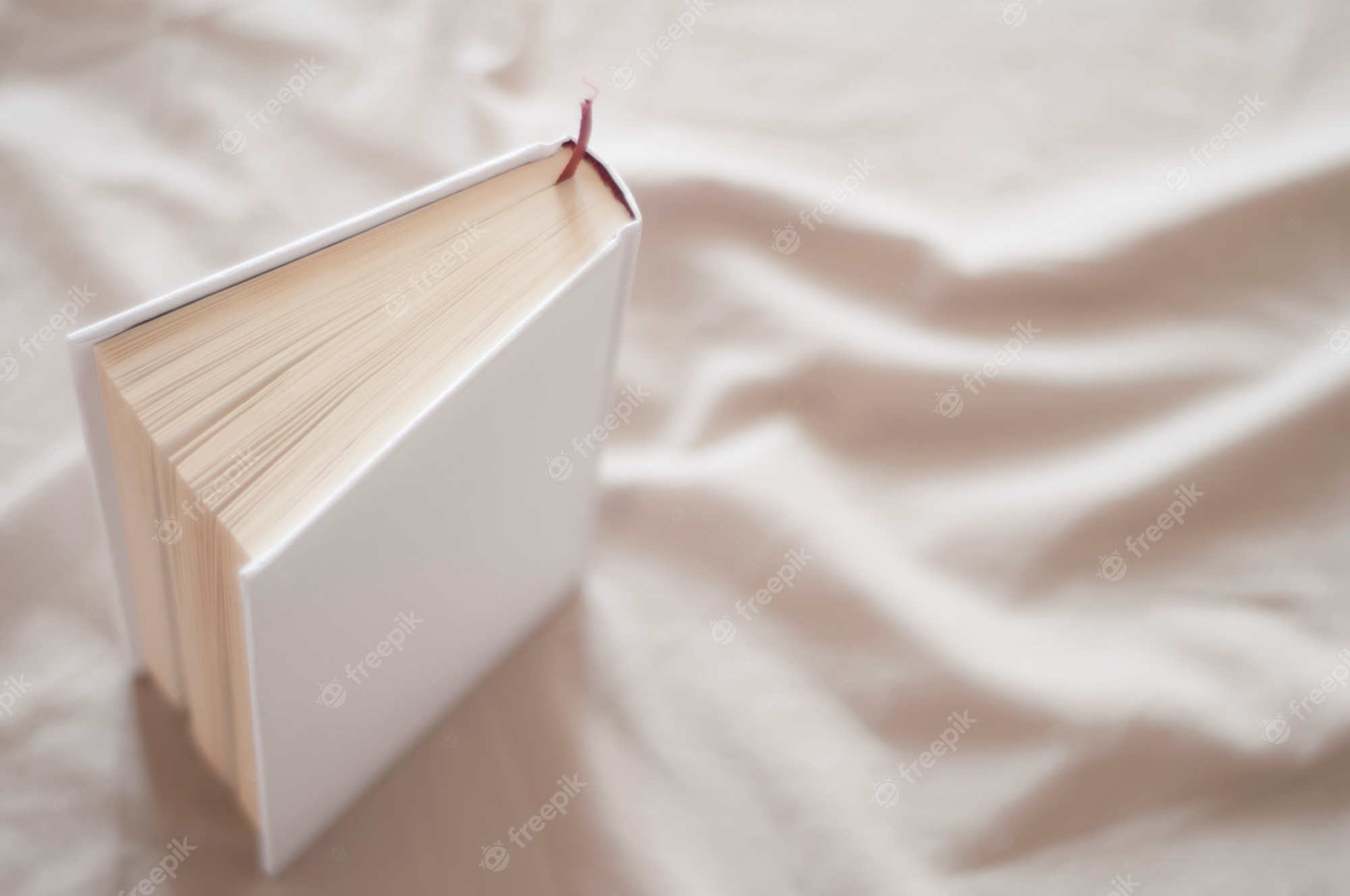 Aesthetic Book Image