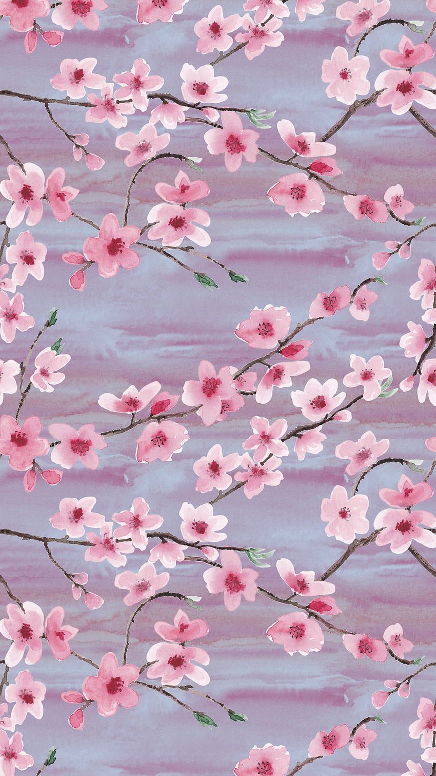 Aesthetic Cherry Blossom, Cute Cherry Blossom HD phone wallpaper