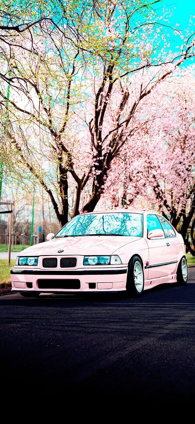 Aesthetic BMW under a cherry blossom tree 4K wallpaper [2610x5655] and [1080x2340]