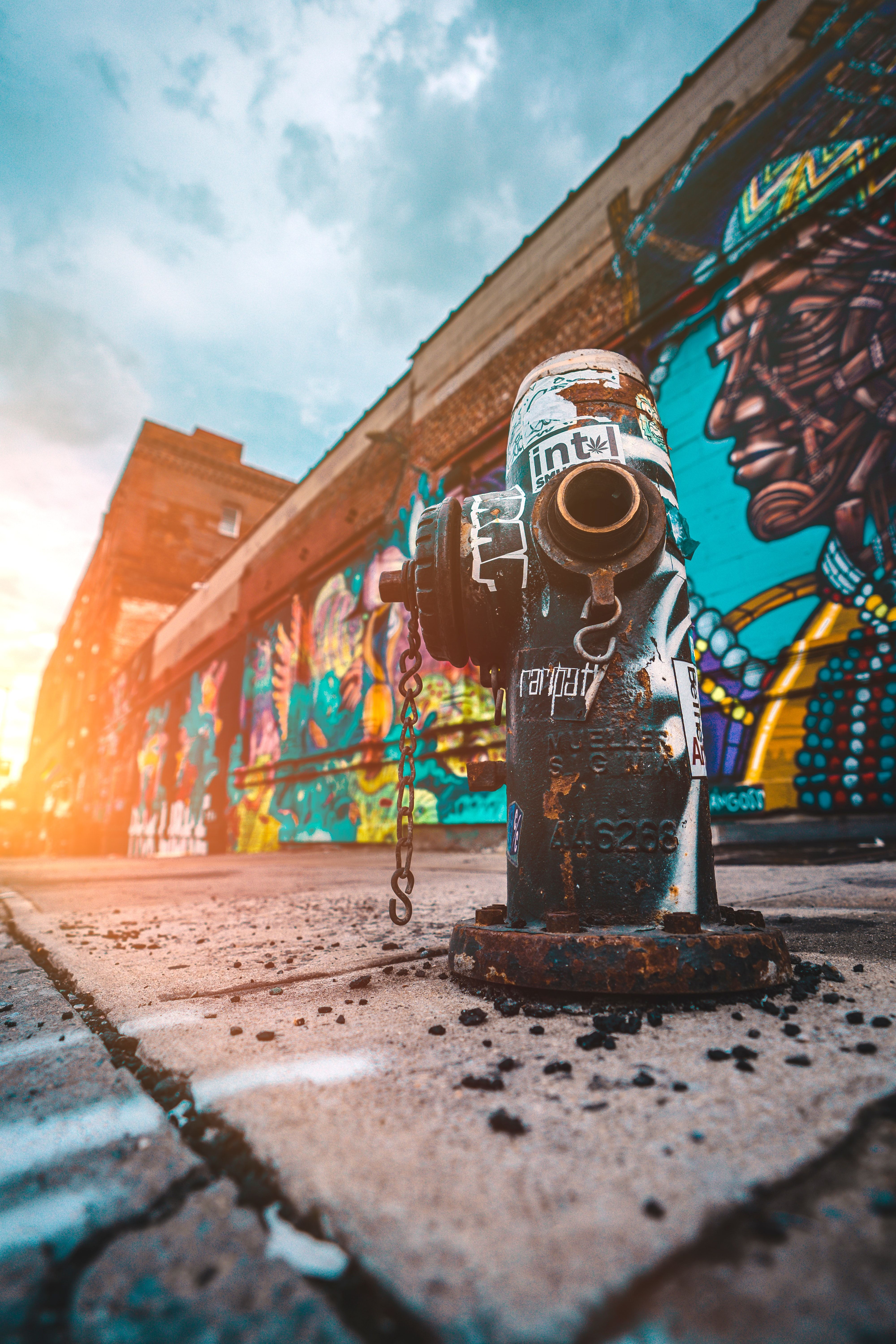 A fire hydrant is painted with graffiti - Graffiti