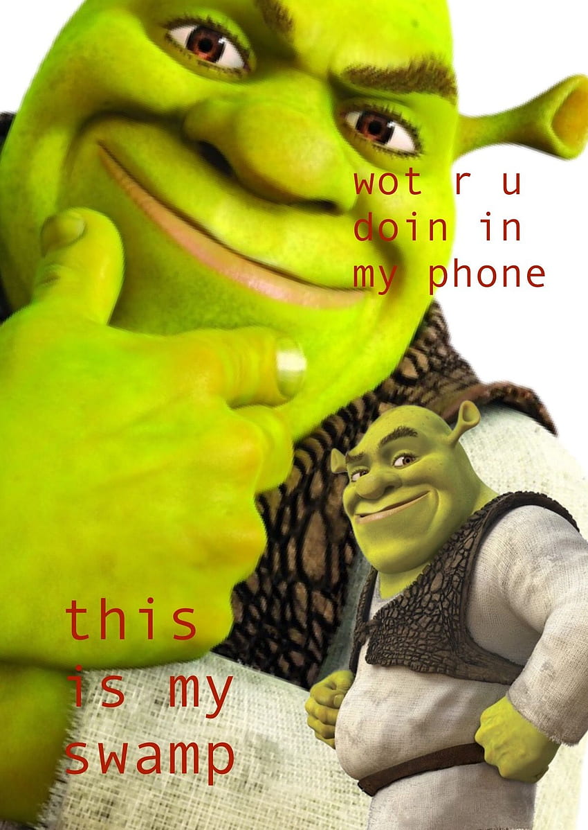 A picture of two green characters with text - Shrek