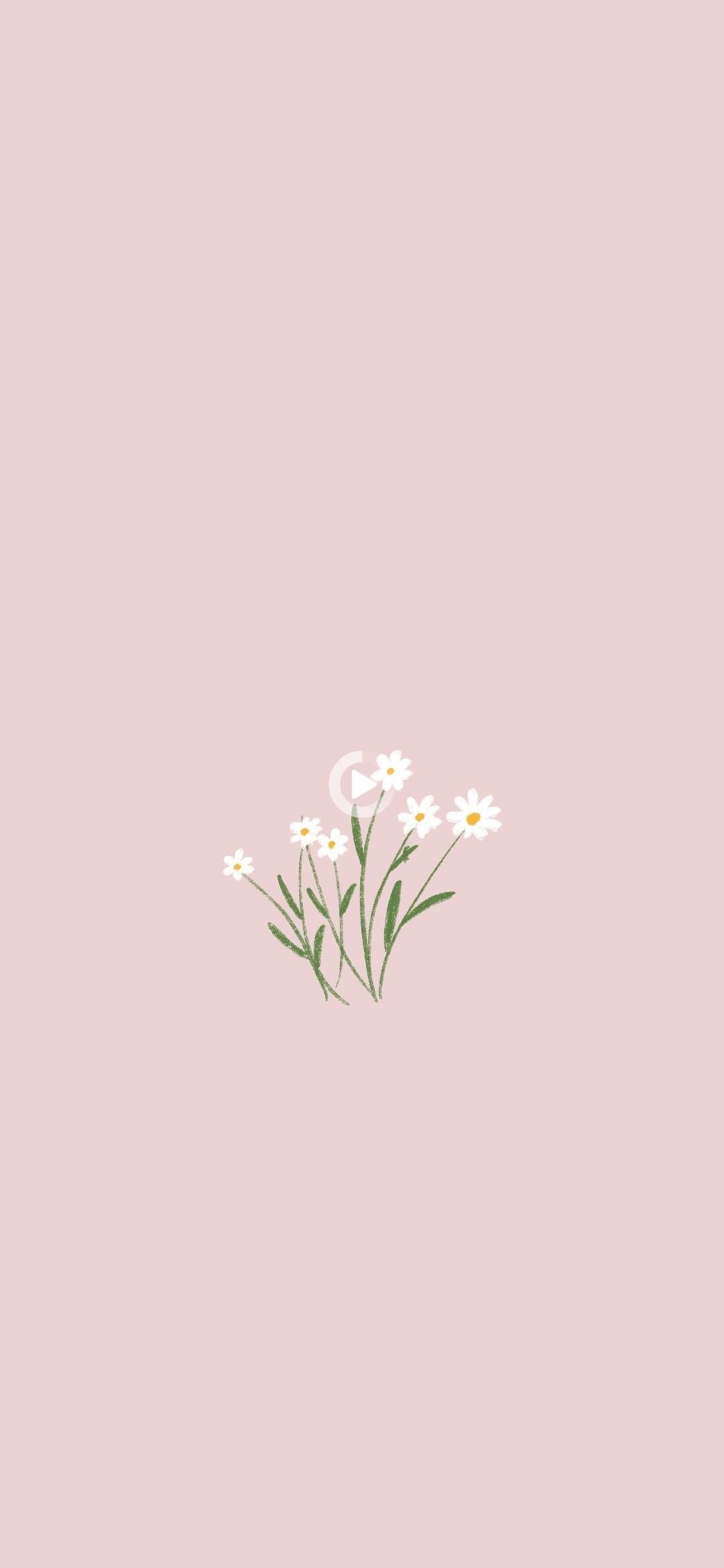 Aesthetic phone background with daisies and a moon - Phone, flower, plants, simple