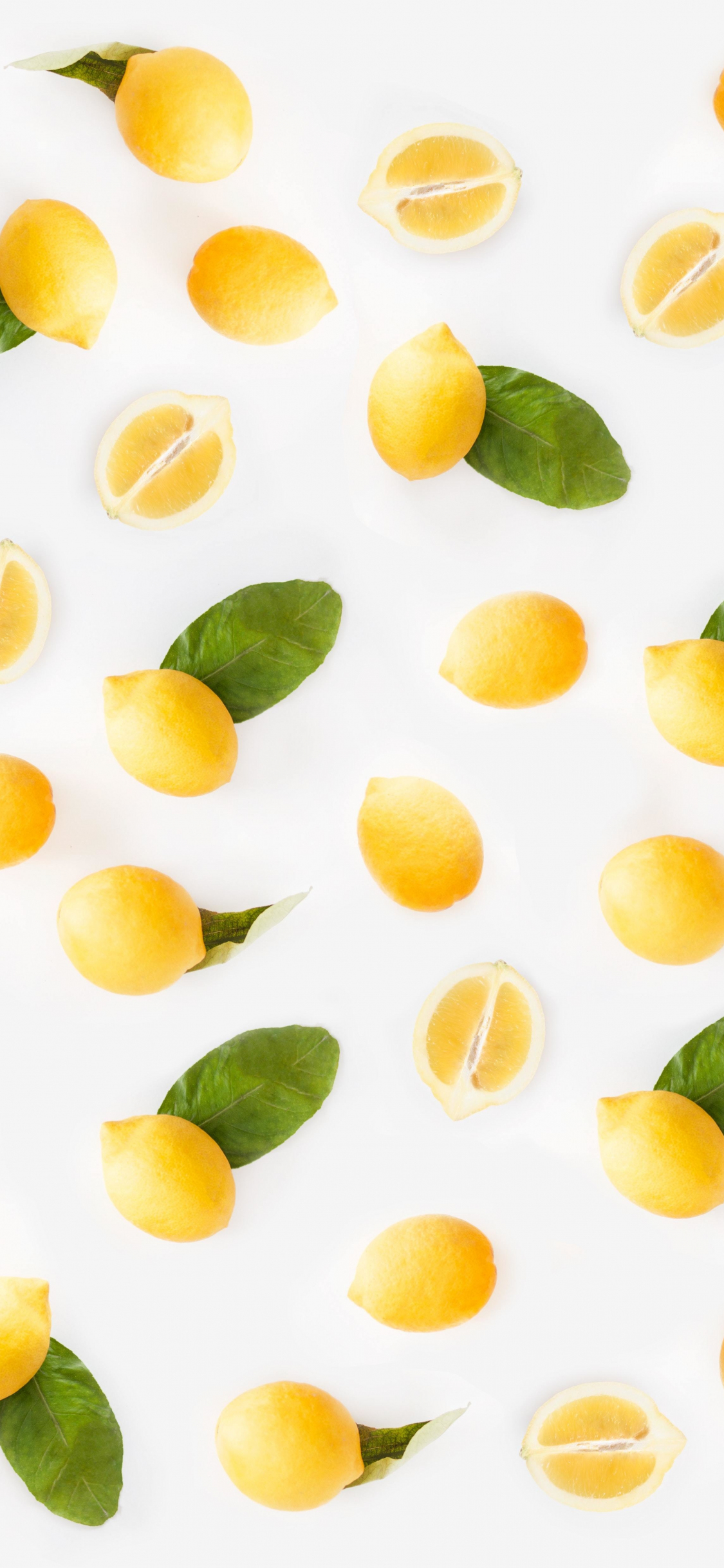 Pattern of whole and sliced lemons with leaves on a white background - Fruit