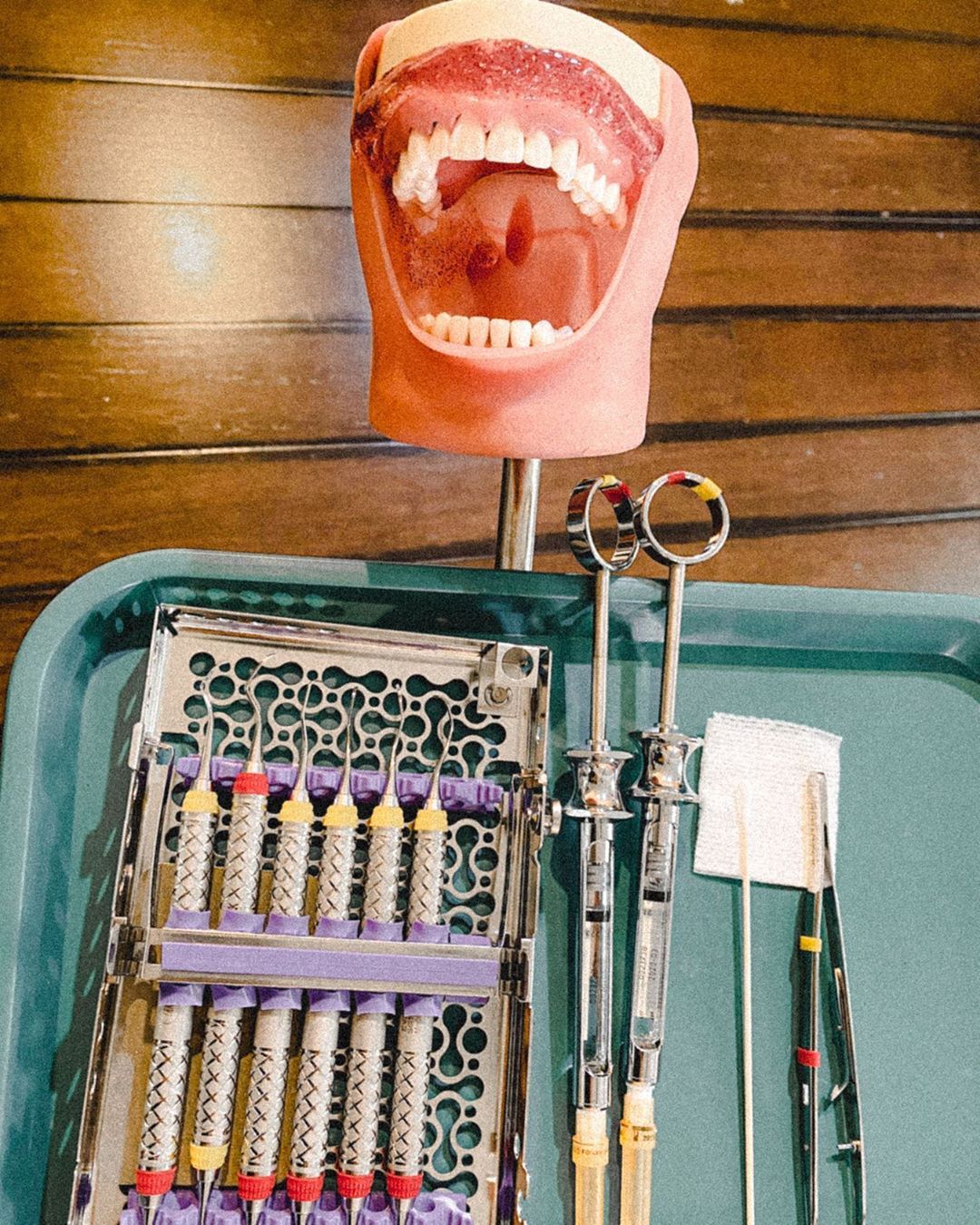 A tray with dental tools and mouth parts - Dentist