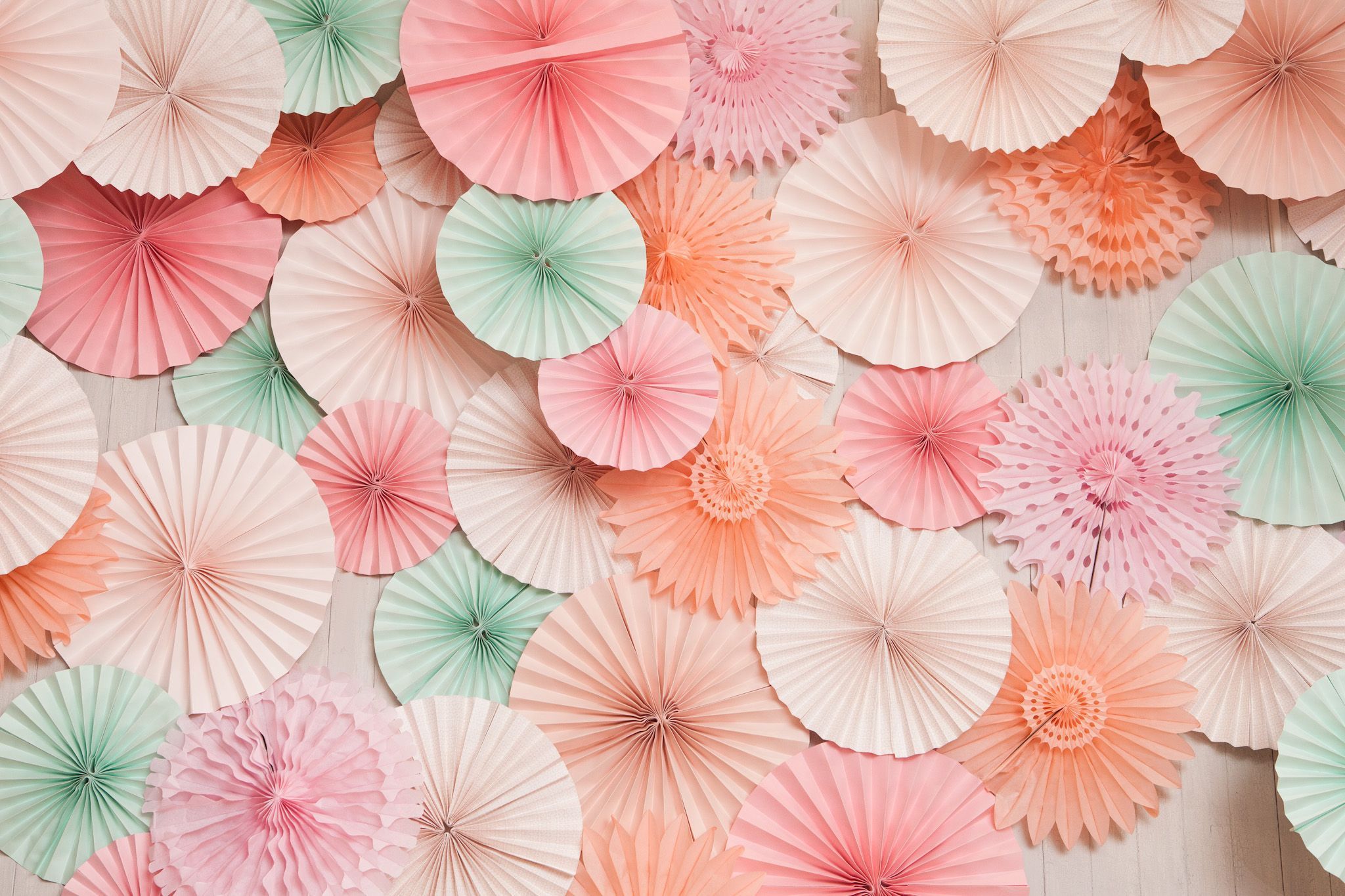 A wall of paper fans in a variety of pastel colors. - Coral