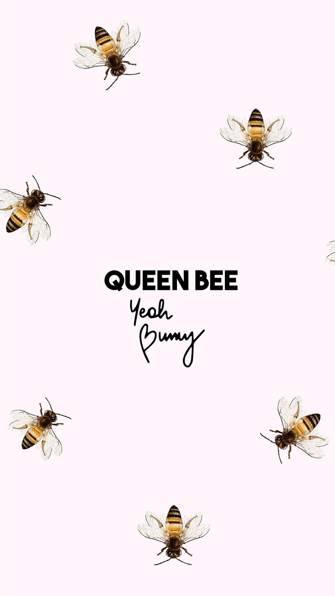 Queen bee wallpaper, yeah bunny, phone wallpaper, aesthetic, phone background, wallpaper, yeah bunny, yeah bunny wallpaper, yeah bunny phone wallpaper - Honey