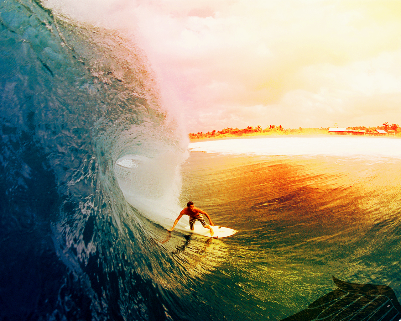 A man on a surfboard riding a wave in the ocean. - Surf