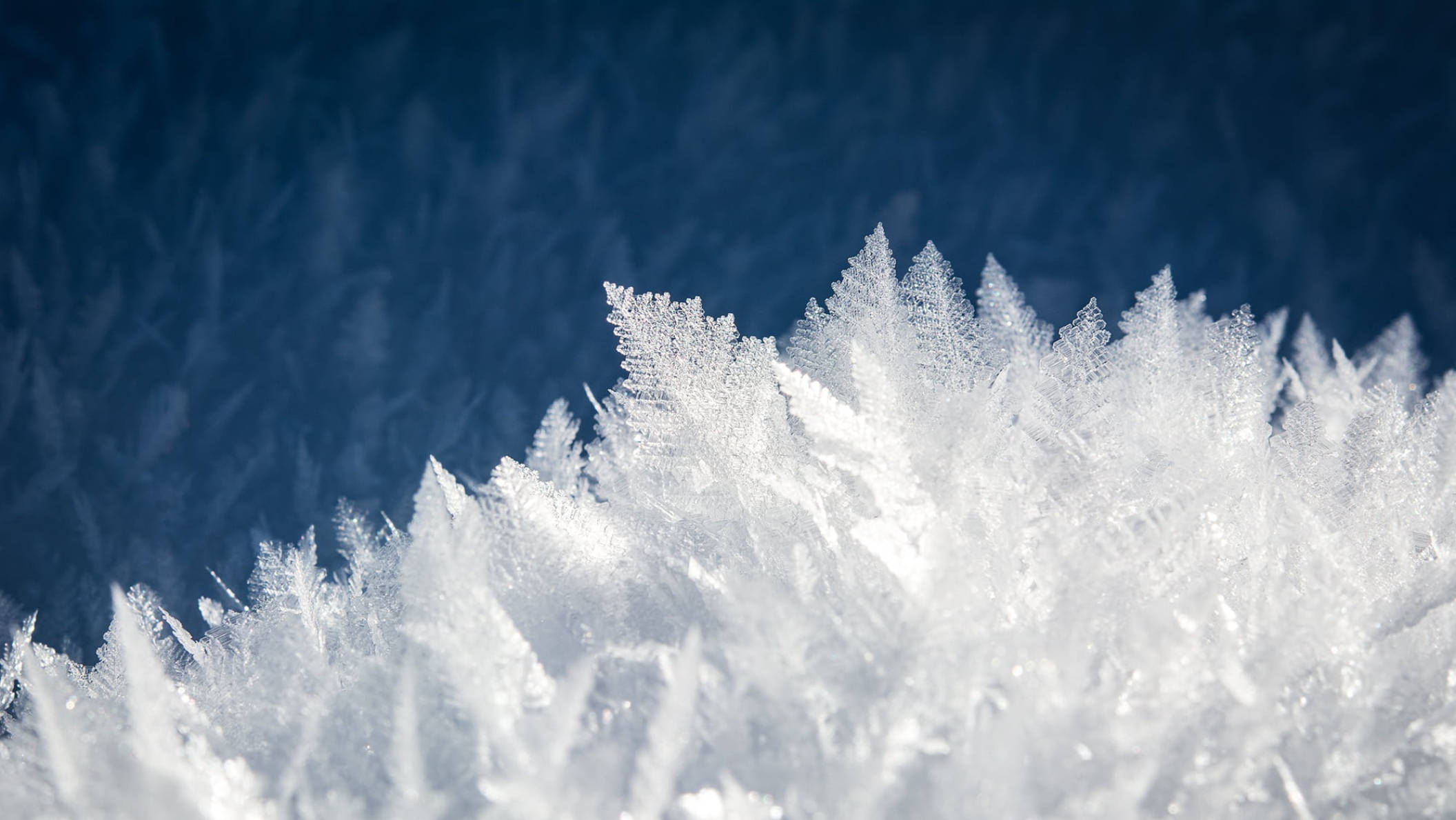 Snow crystals on a dark blue background - Ice