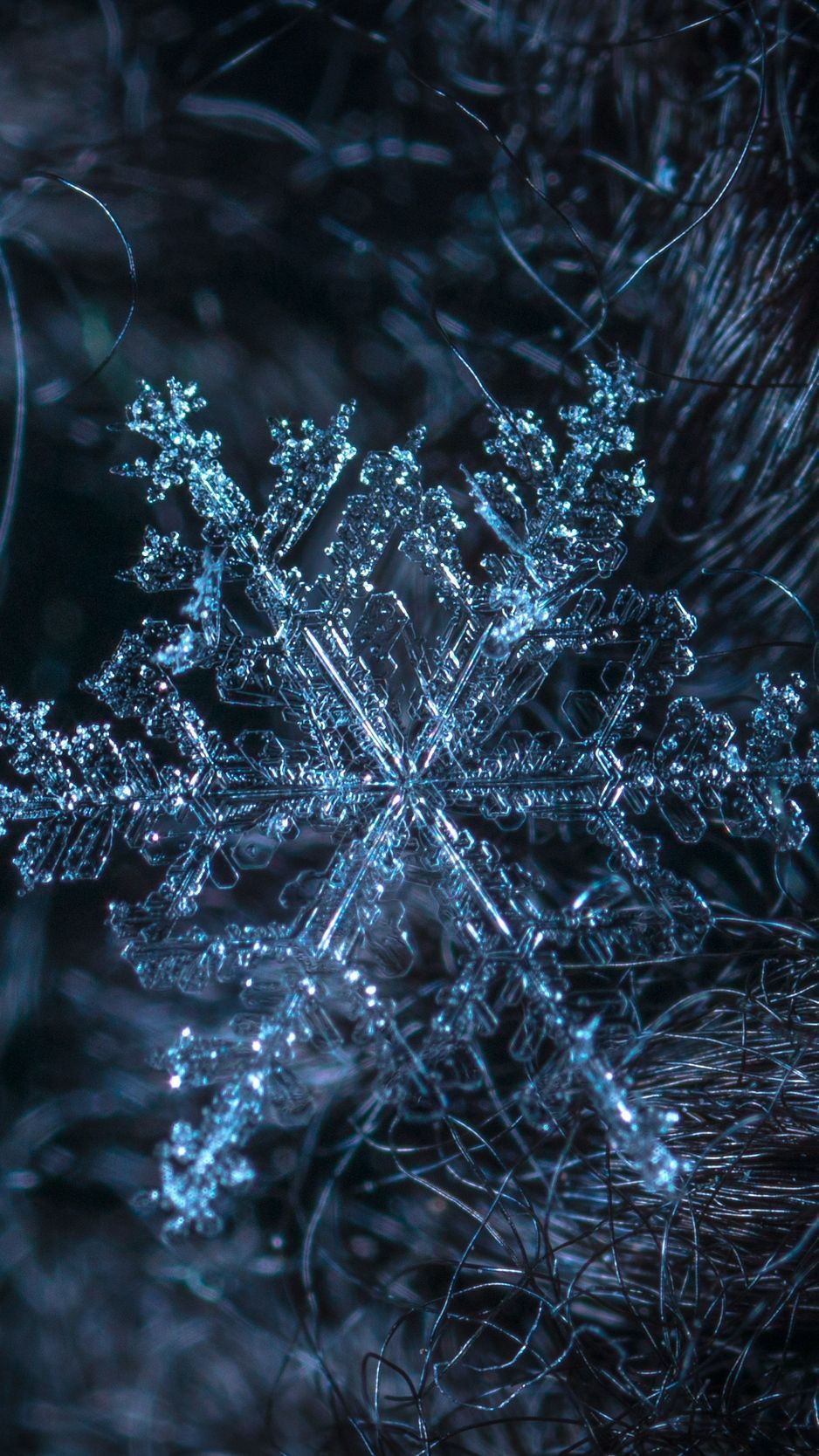 A snowflake is shown in the dark - Ice