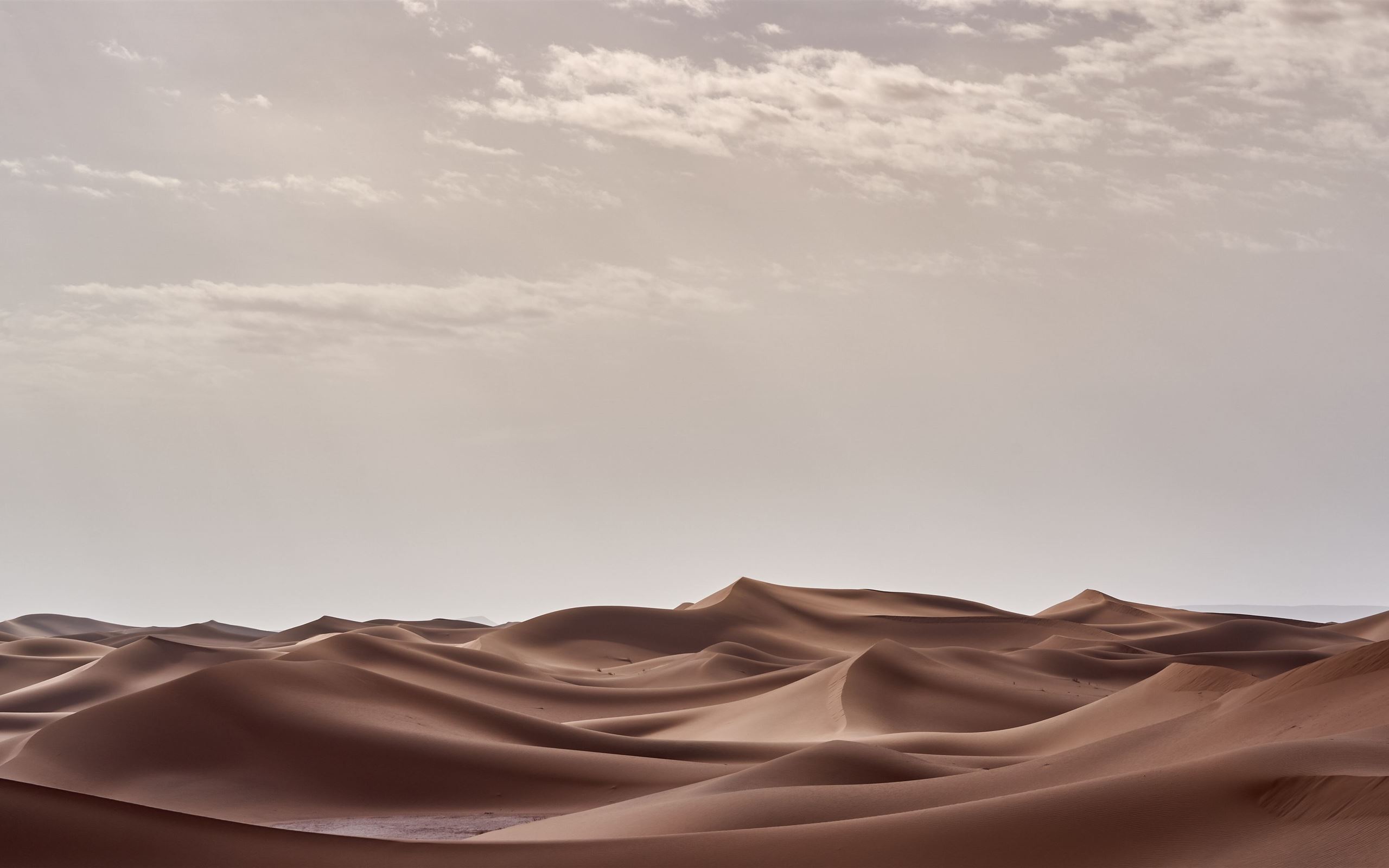 A man riding on horseback through the desert - Desert