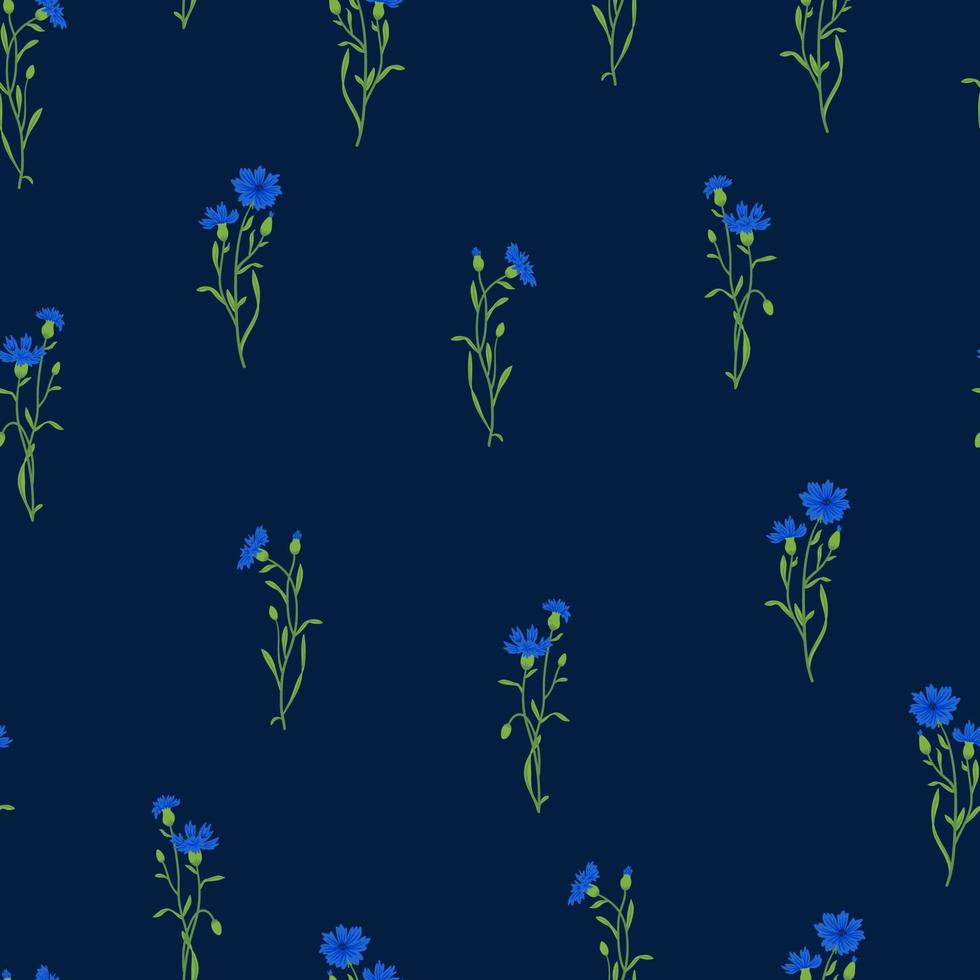 Cornflower field vector seamless pattern. Summer wild meadow flower, honey plant texture. Knapweed blue background. Centaurea botanical floral design for textile, fabric, wrapping