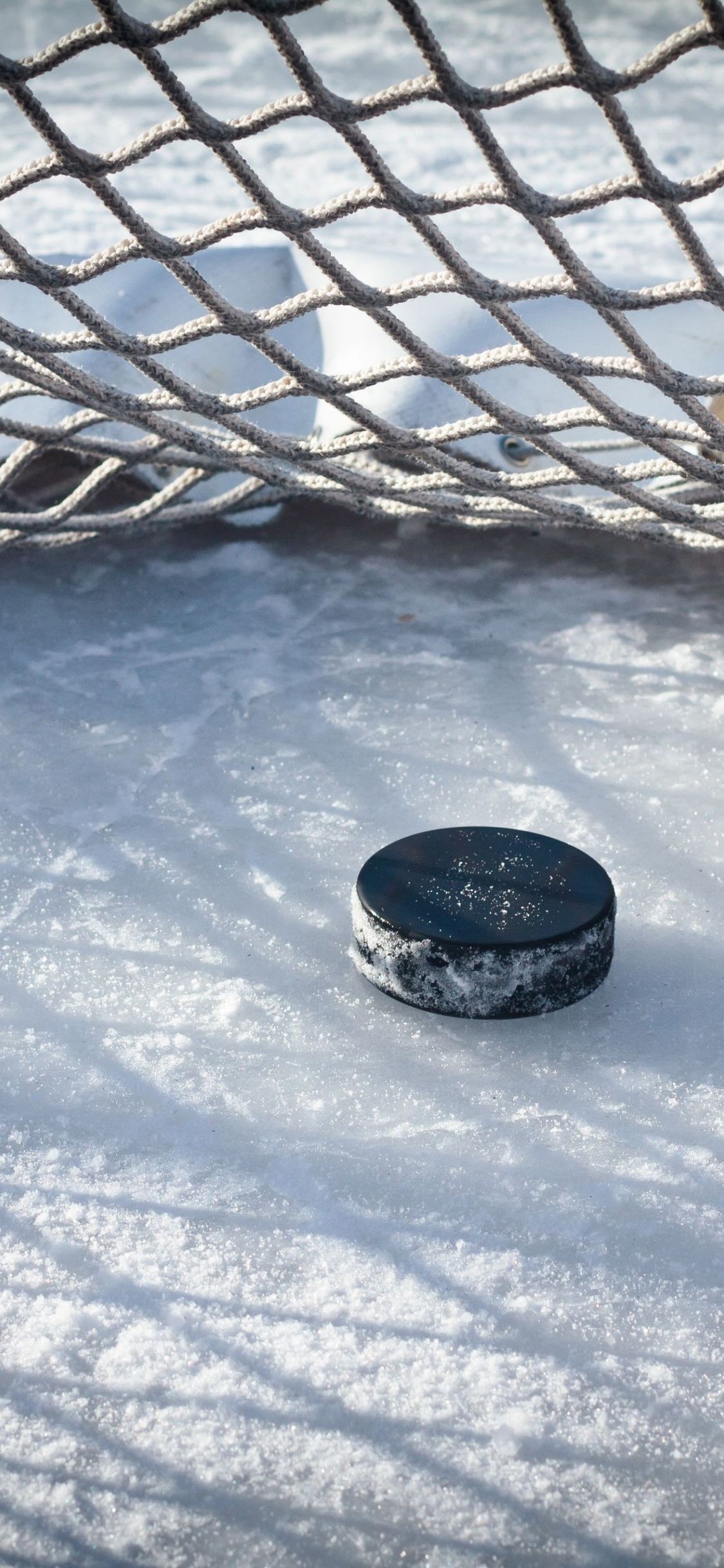 A hockey puck is sitting on the ice in front of an open net - Ice