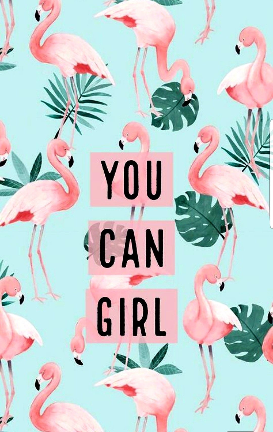 Flamingo wallpaper for phone background, phone background, phone wallpaper, flamingo phone background, flamingo phone wallpaper, you can girl, motivational phone background, motivational phone wallpaper - Flamingo