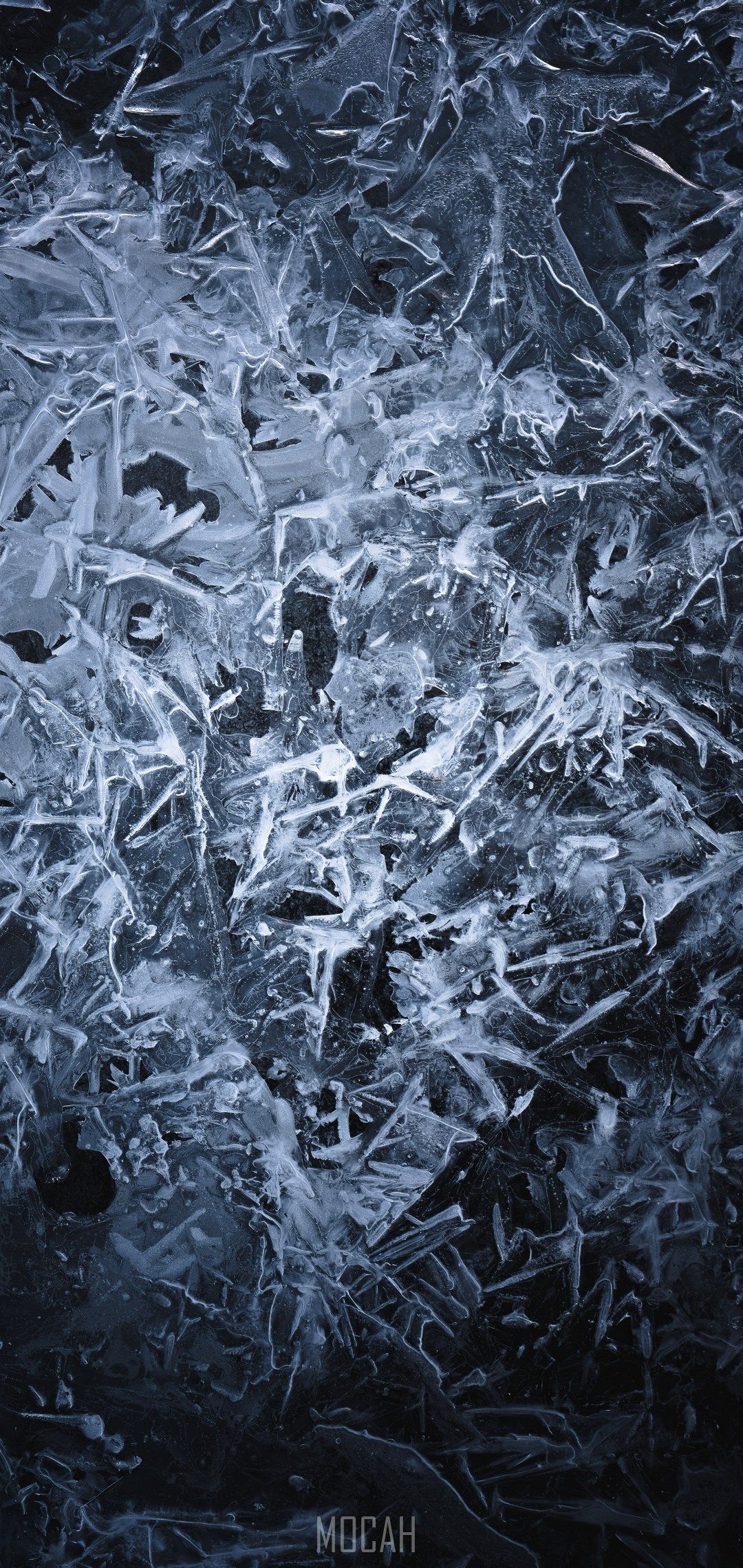 Black, Ice, Freezing, Frost, Black and White, vivo X21i wallpaper full hd, 1080x2280 Gallery HD Wallpaper