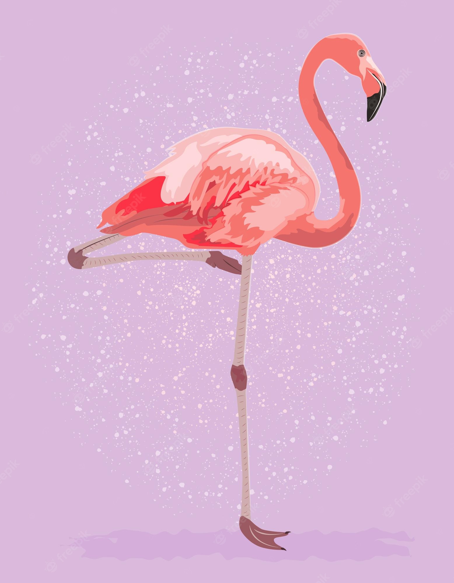 Vintage Flamingo Image