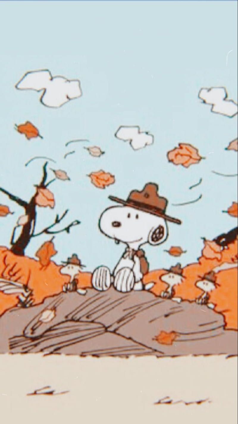 Person and snoopy in the fall - Charlie Brown, Snoopy